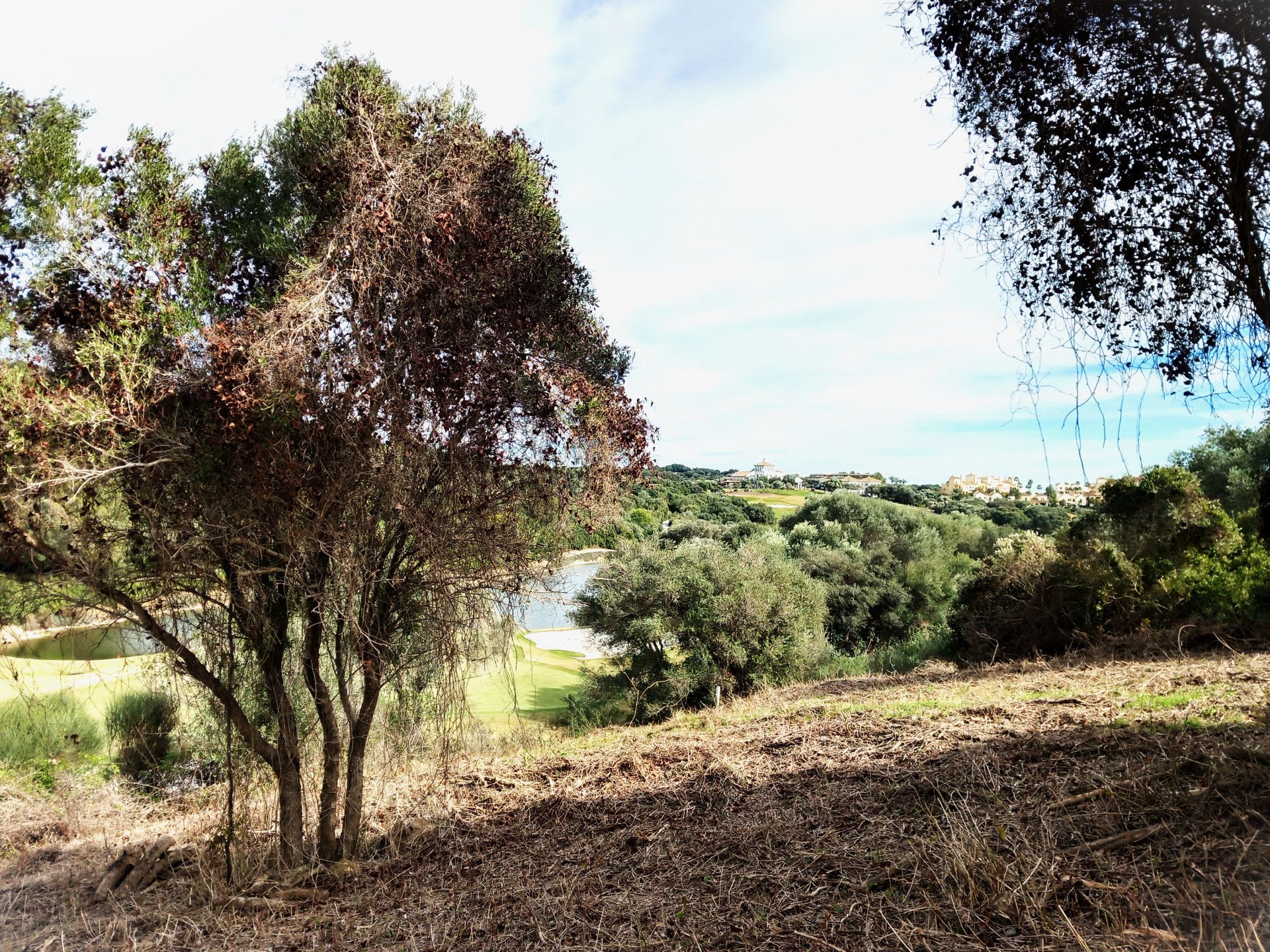 Maa sisään Guadiaro, Andalusia 11503856