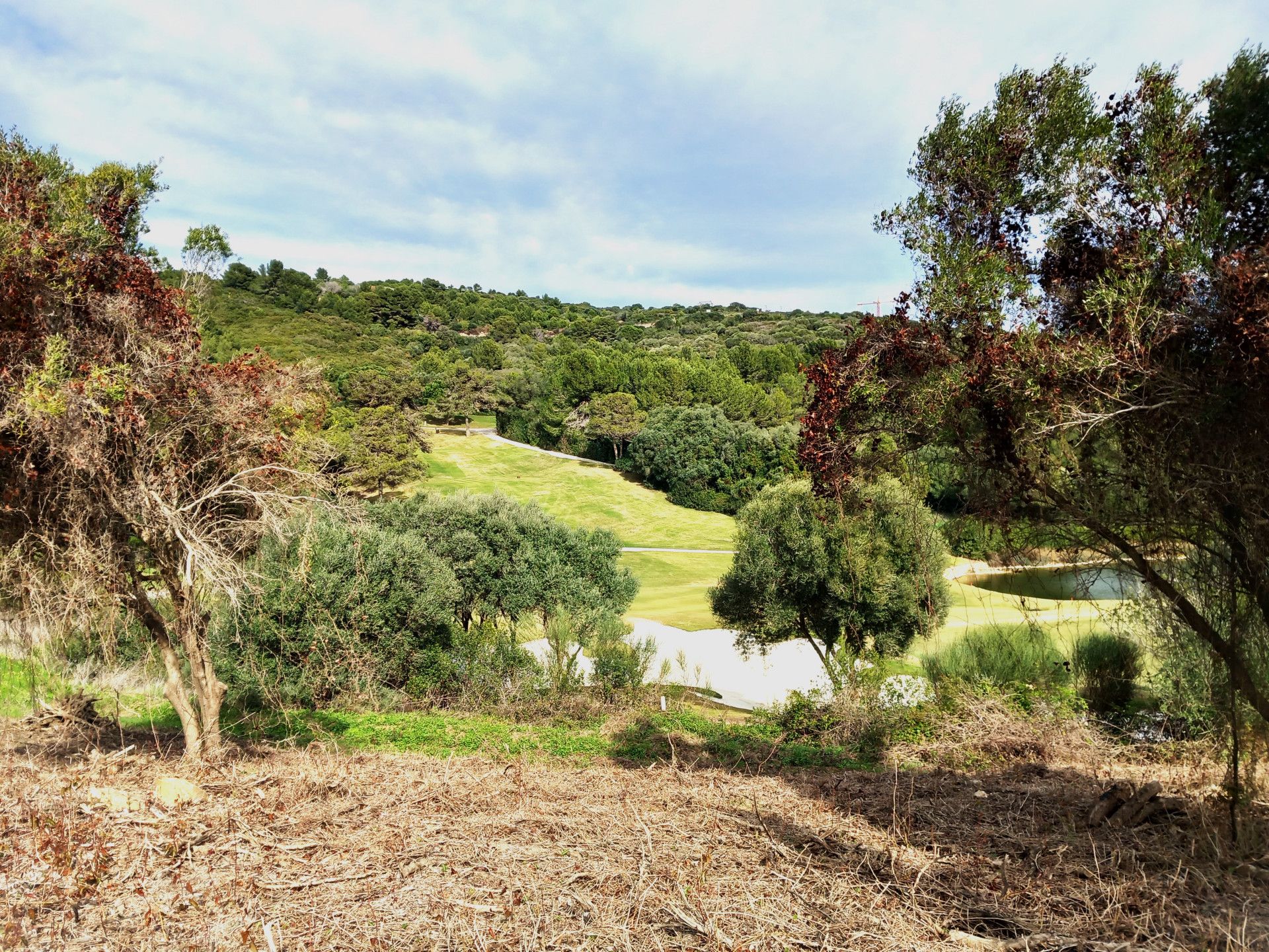 Jord i Sotogrande, Andalucía 11503856