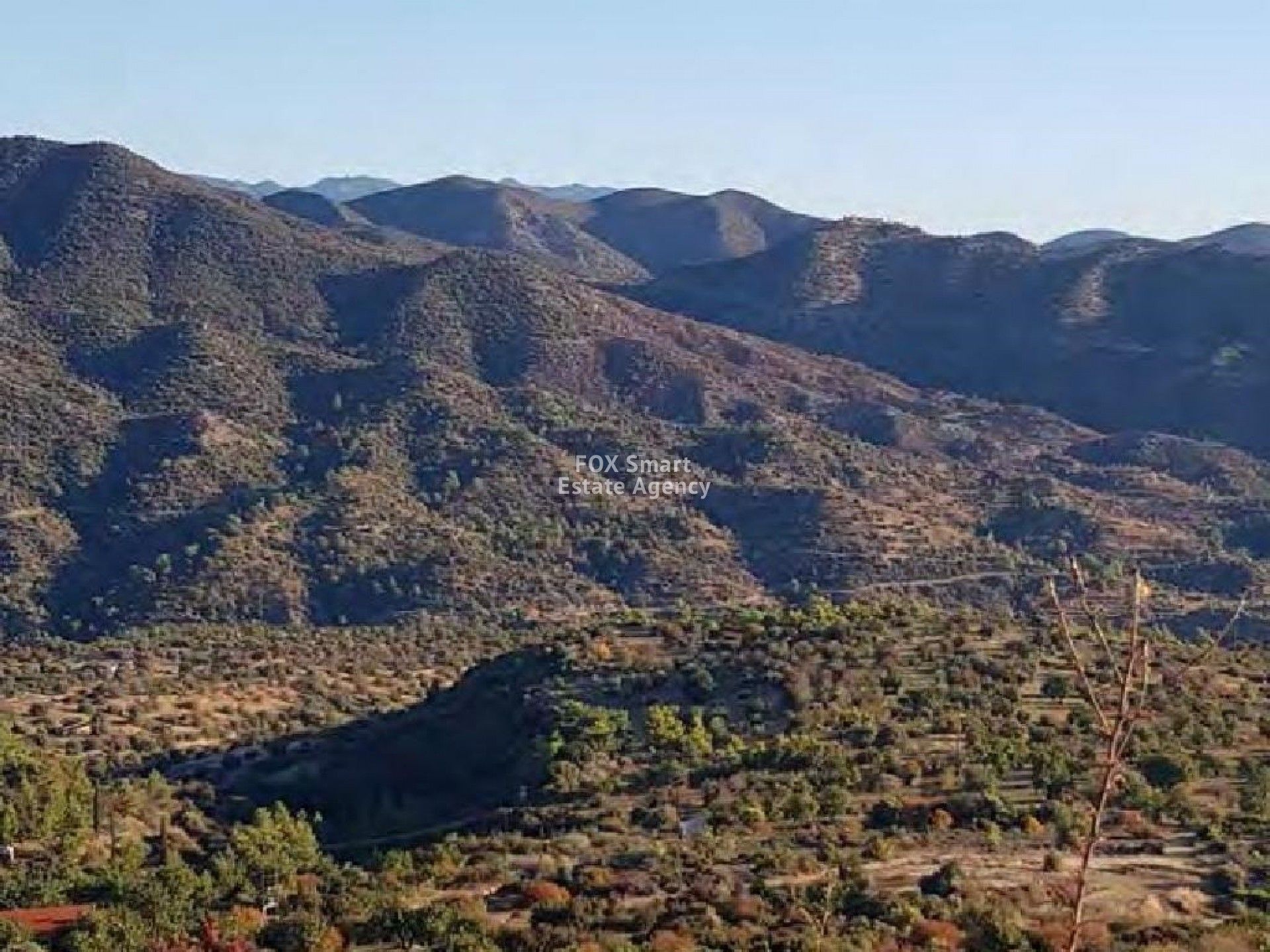 Land in Palodeia, Lemesos 11504663