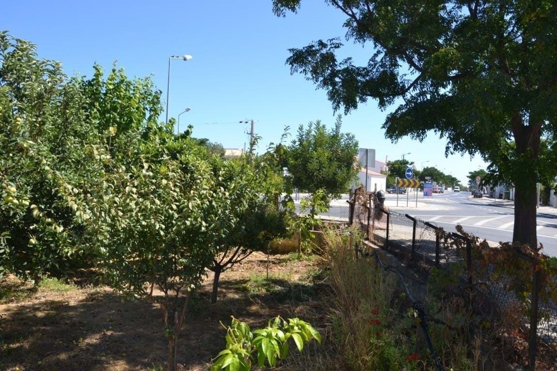 Terra no Areias de São João, Faro 11504991