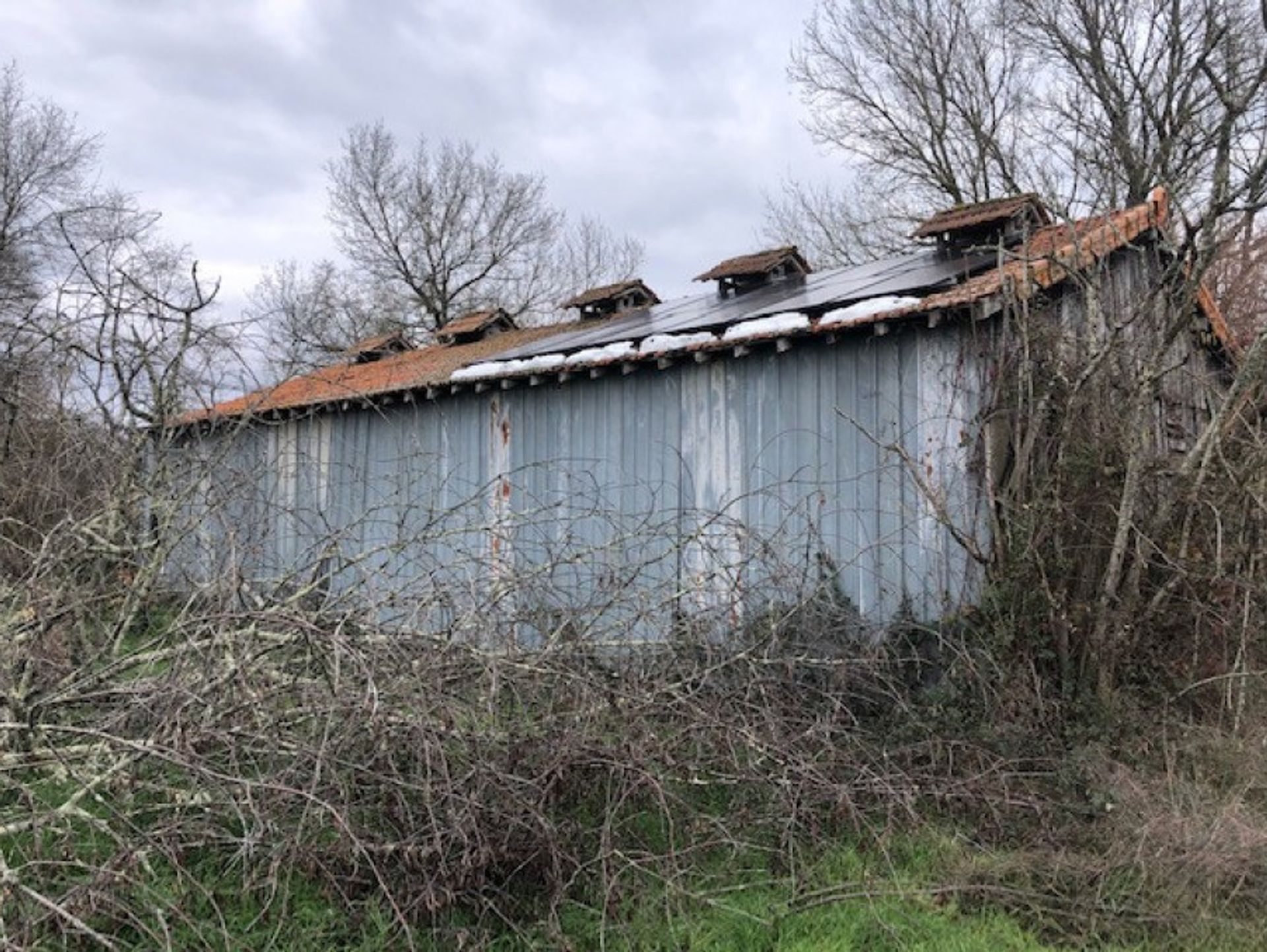 loger dans Montpon-Ménestérol, Nouvelle-Aquitaine 11505058