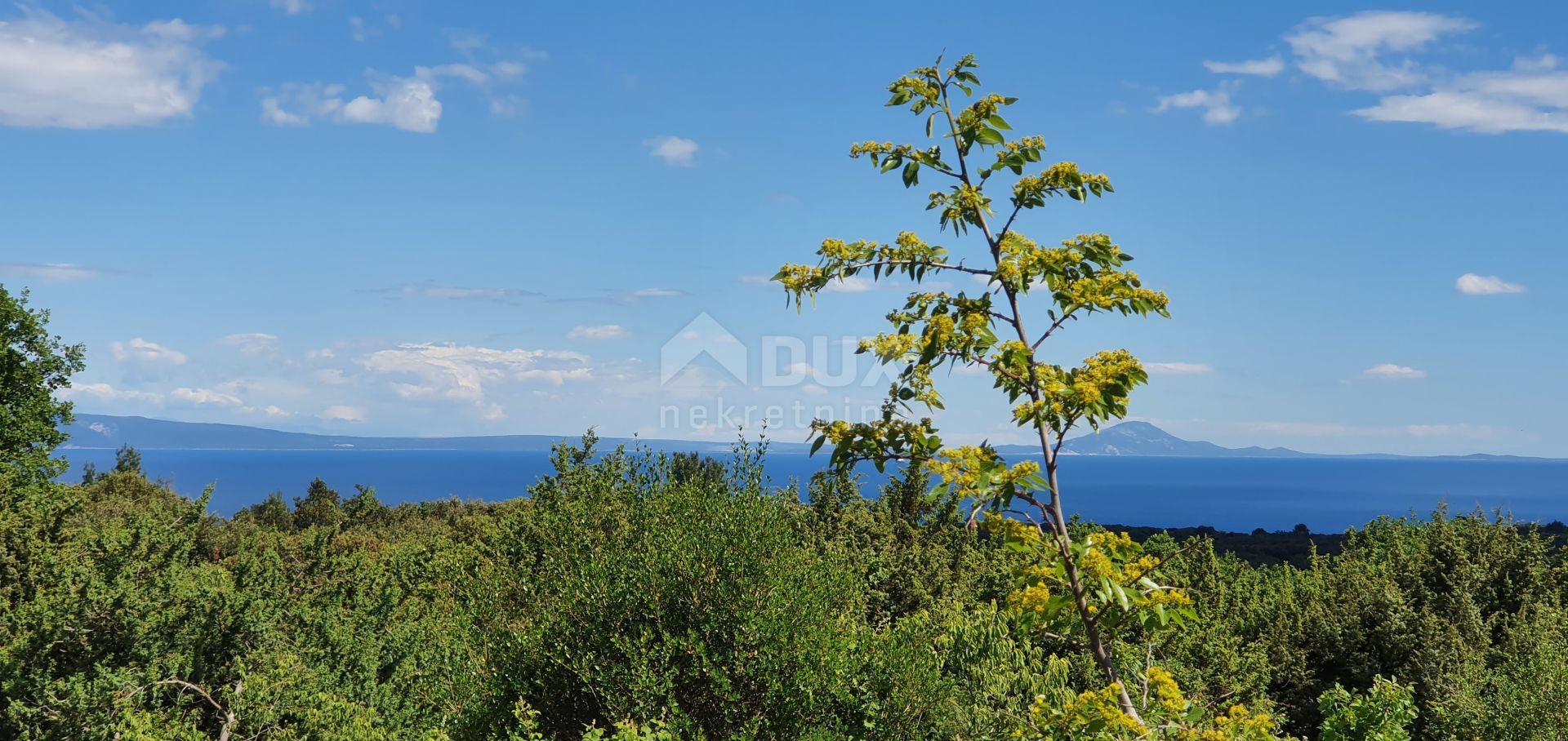 Land in Marcana, Istarska Zupanija 11505466