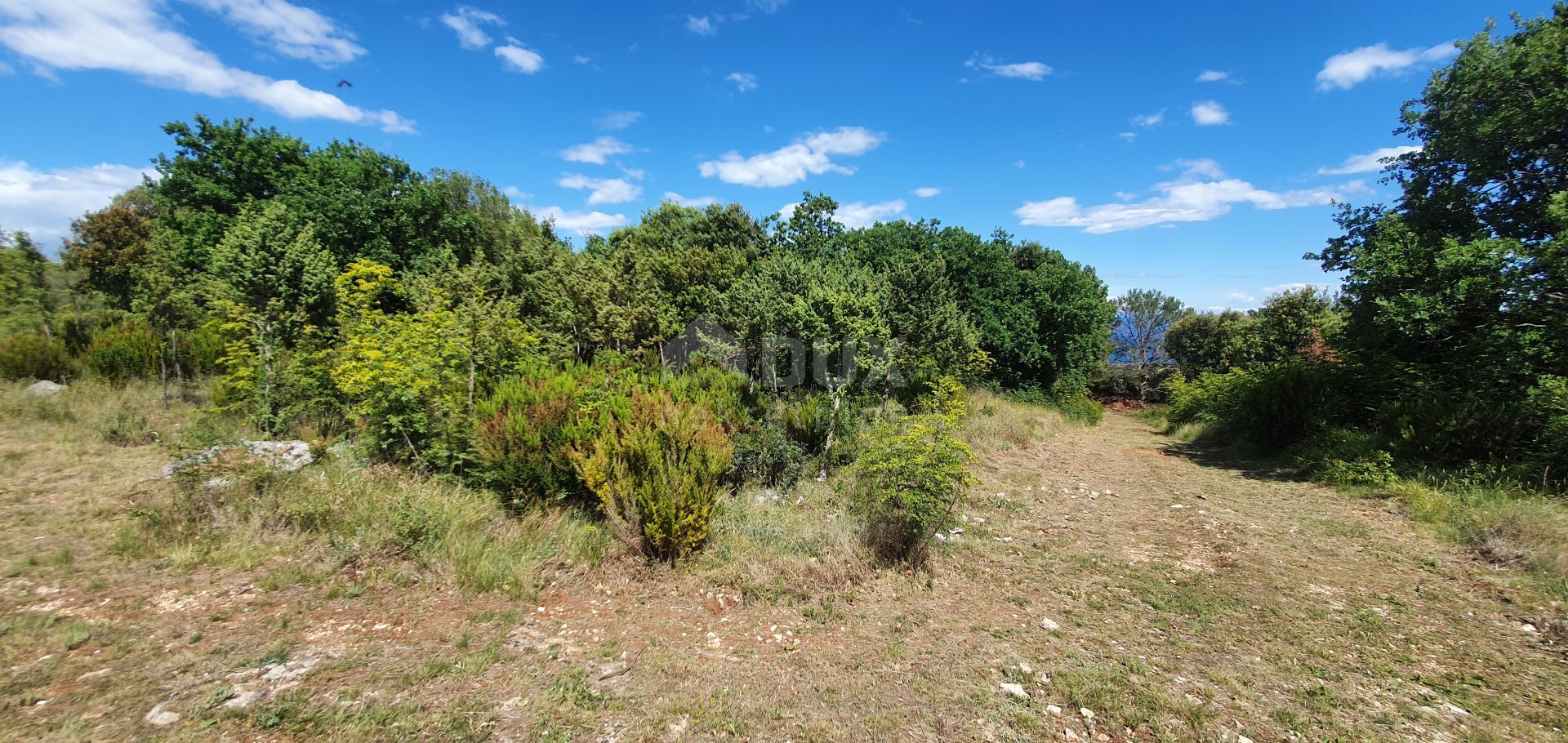 Land in Marcana, Istarska Zupanija 11505466