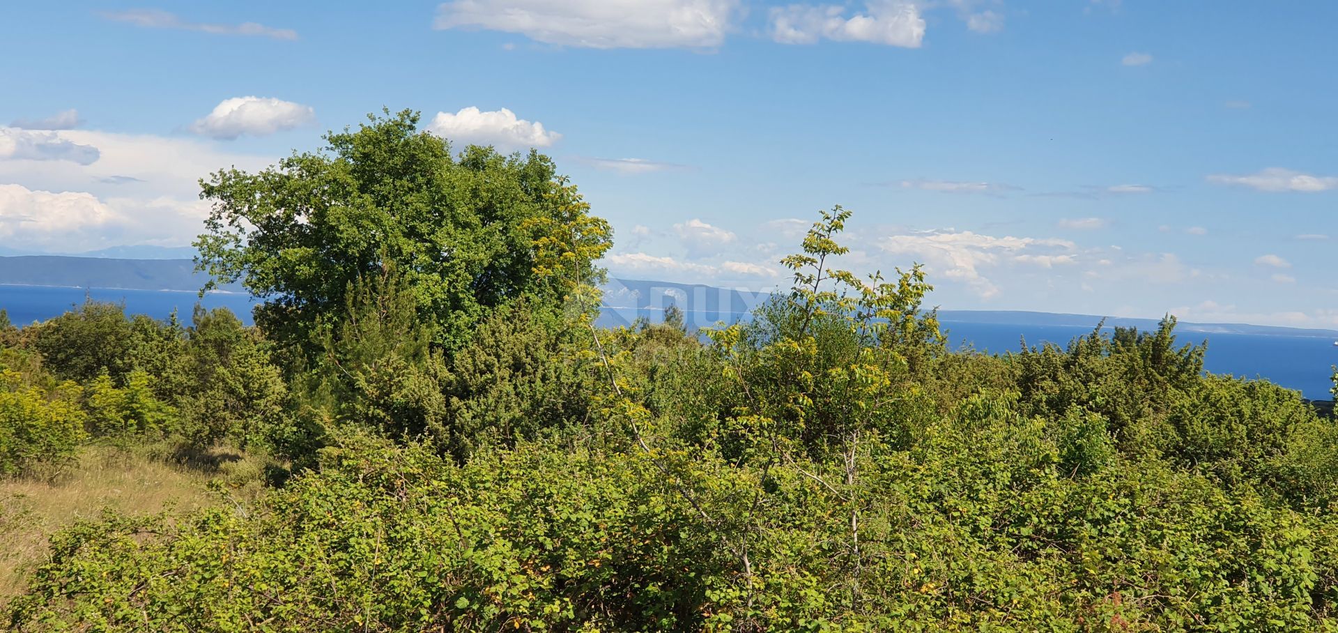 Land in Marcana, Istarska Zupanija 11505467