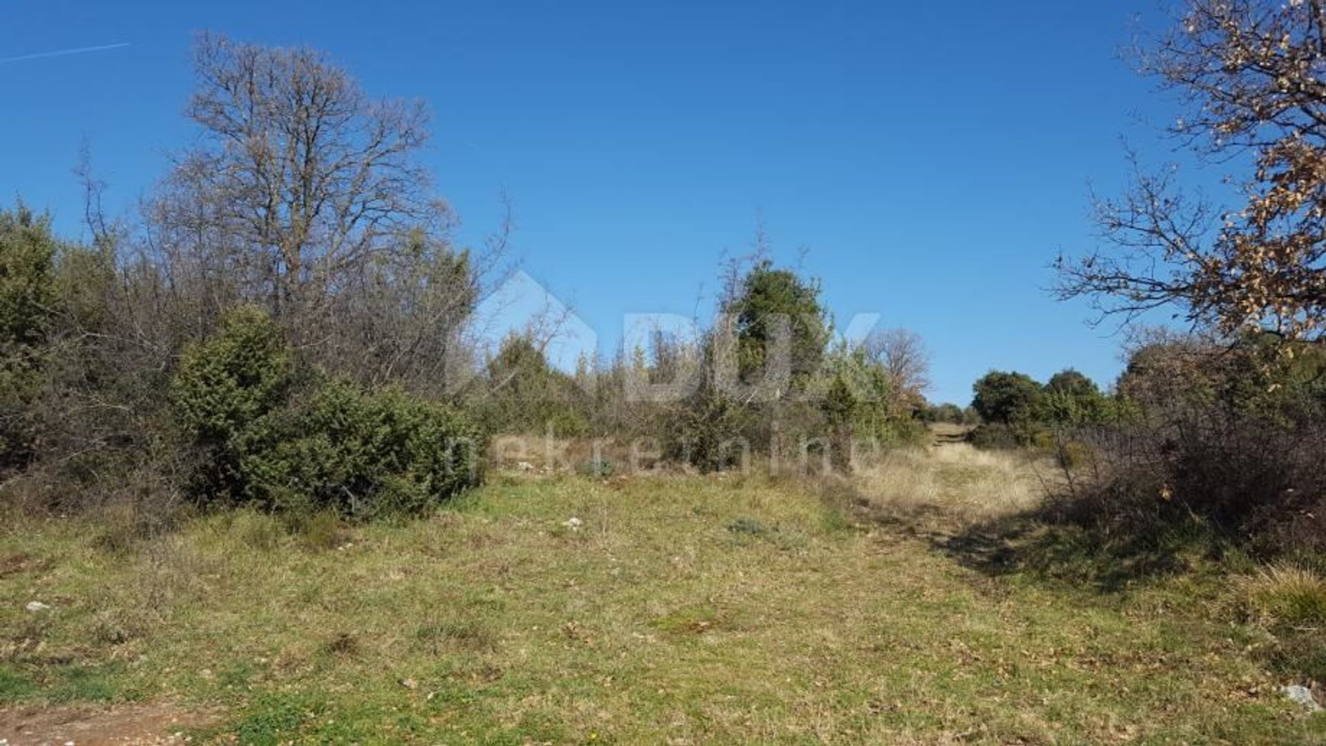 Land in Marcana, Istarska Zupanija 11505467