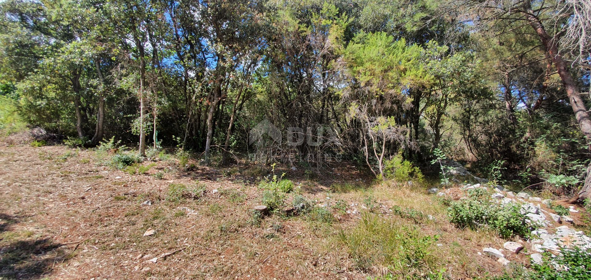 Land in Marcana, Istarska Zupanija 11505467