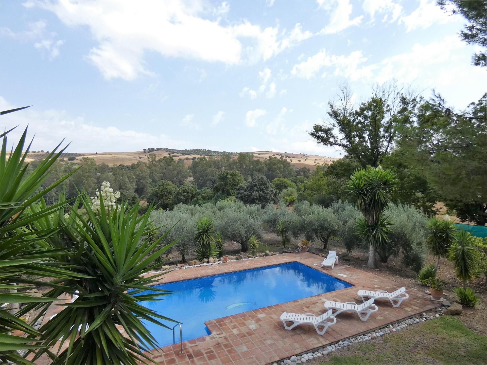 casa en Coín, Andalucía 11505748