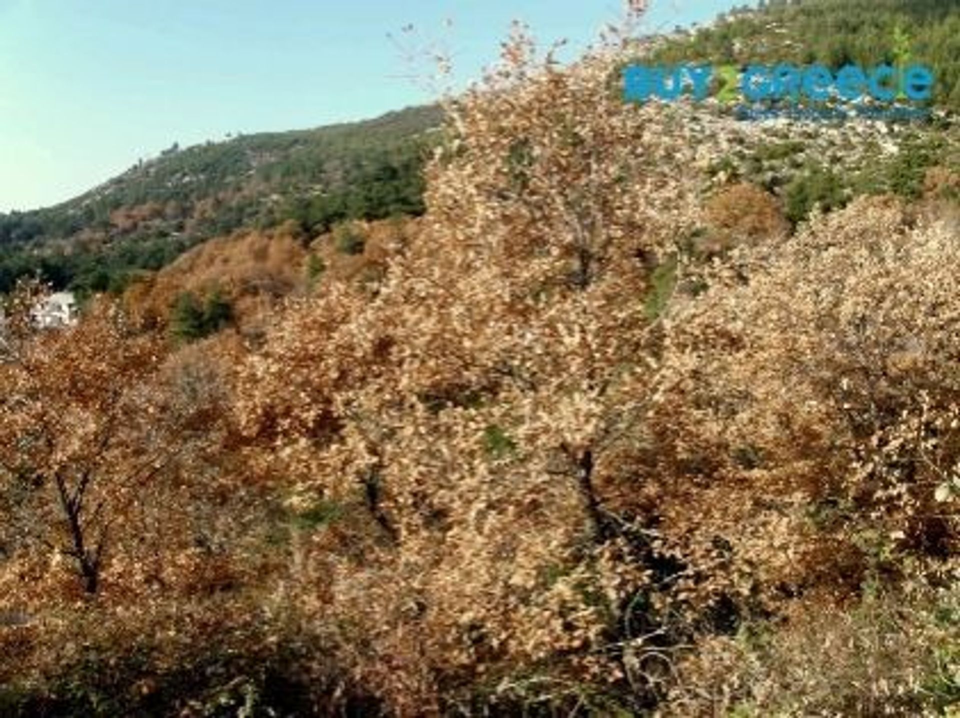 Tierra en Marías, Anatoliki Makedonia kai Thraki 11506519