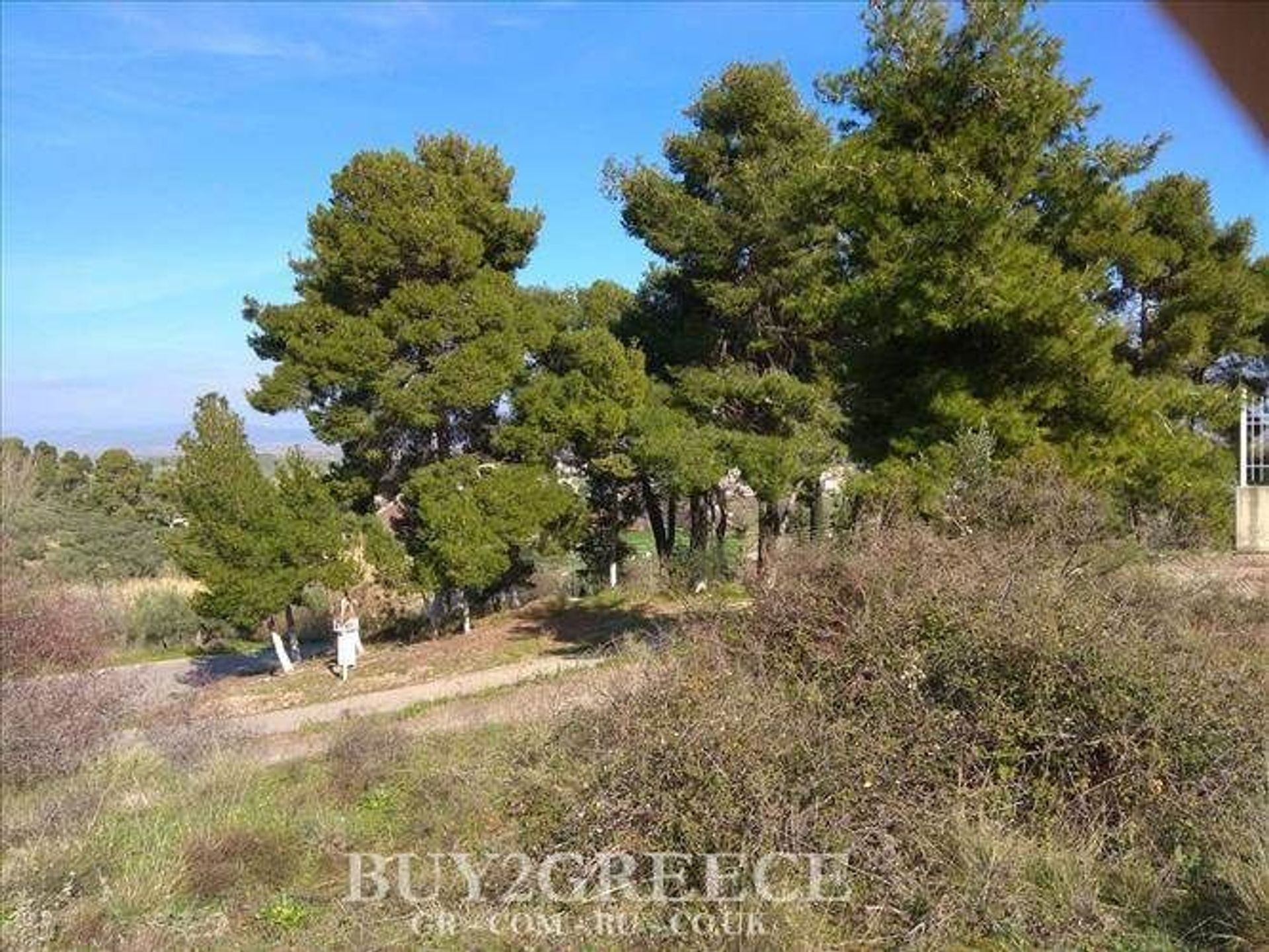 Land in Mazi,  11506608