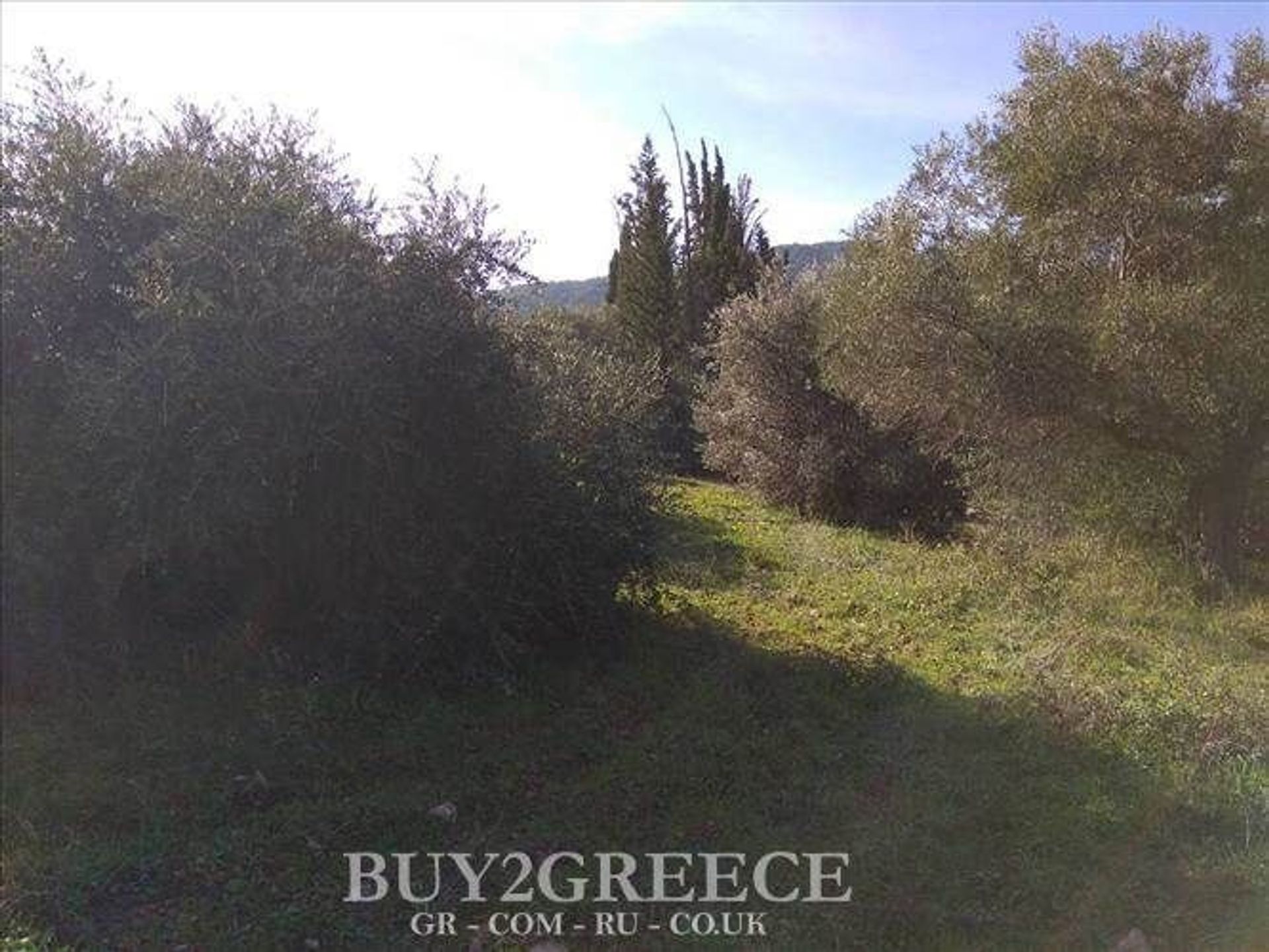 Land in Mazi,  11506608