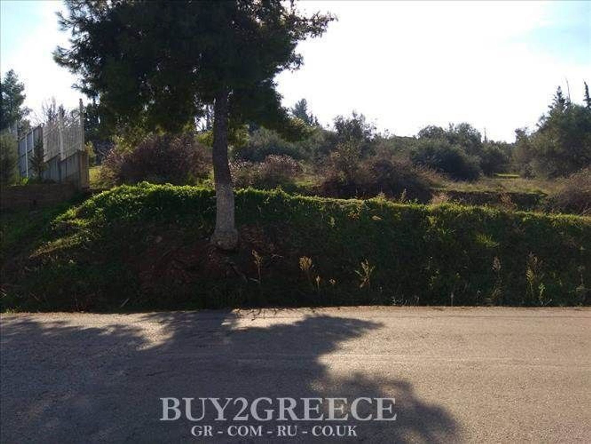 Land in Mazi,  11506608