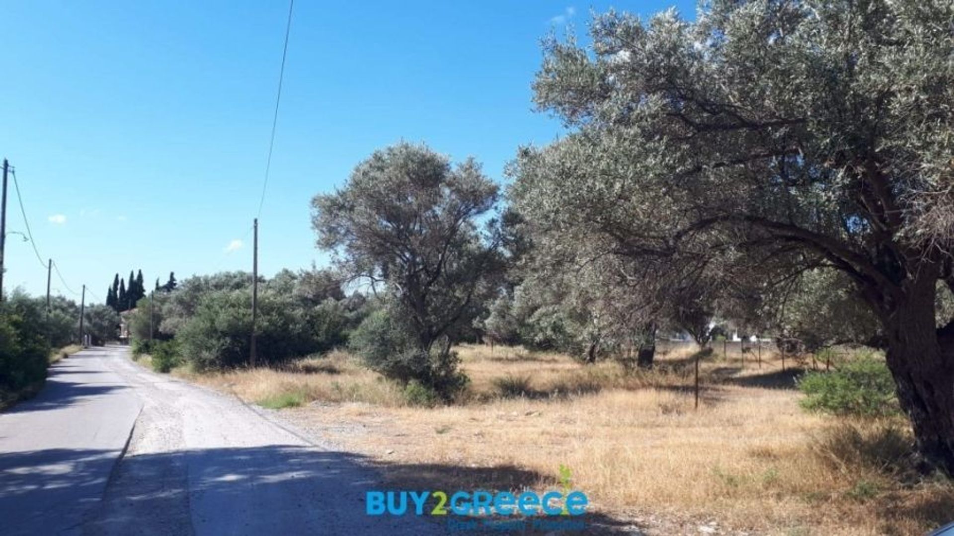 Land in Messapia,  11506649