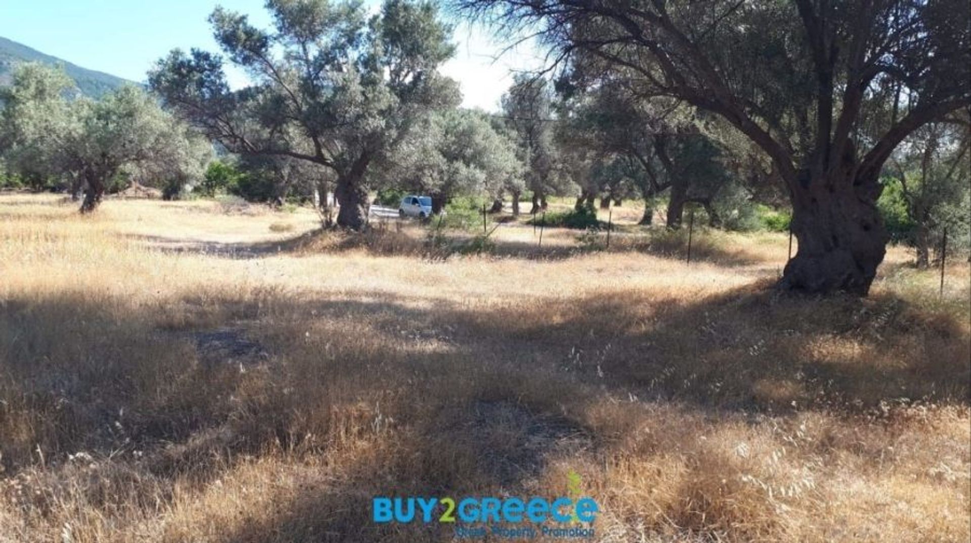 Land in Messapia,  11506649