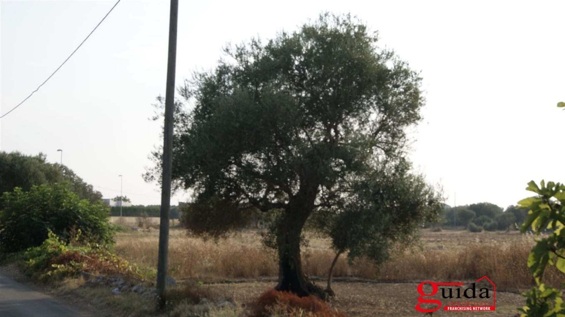 Tierra en Matiño, Apulia 11508713