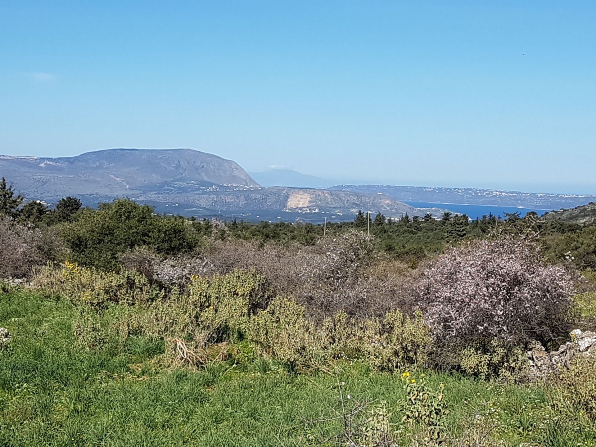 Tierra en Kefalas, criti 11508733