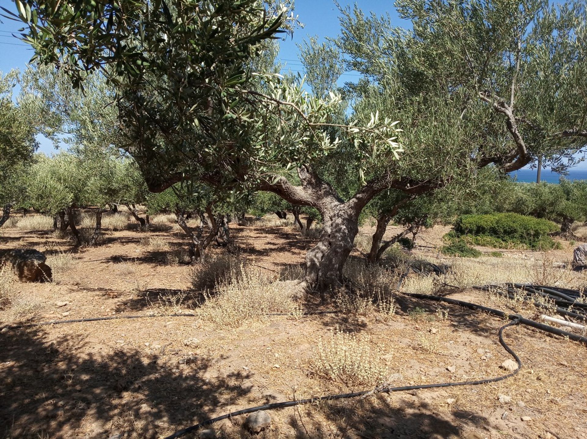 Tanah di Chania,  11508755