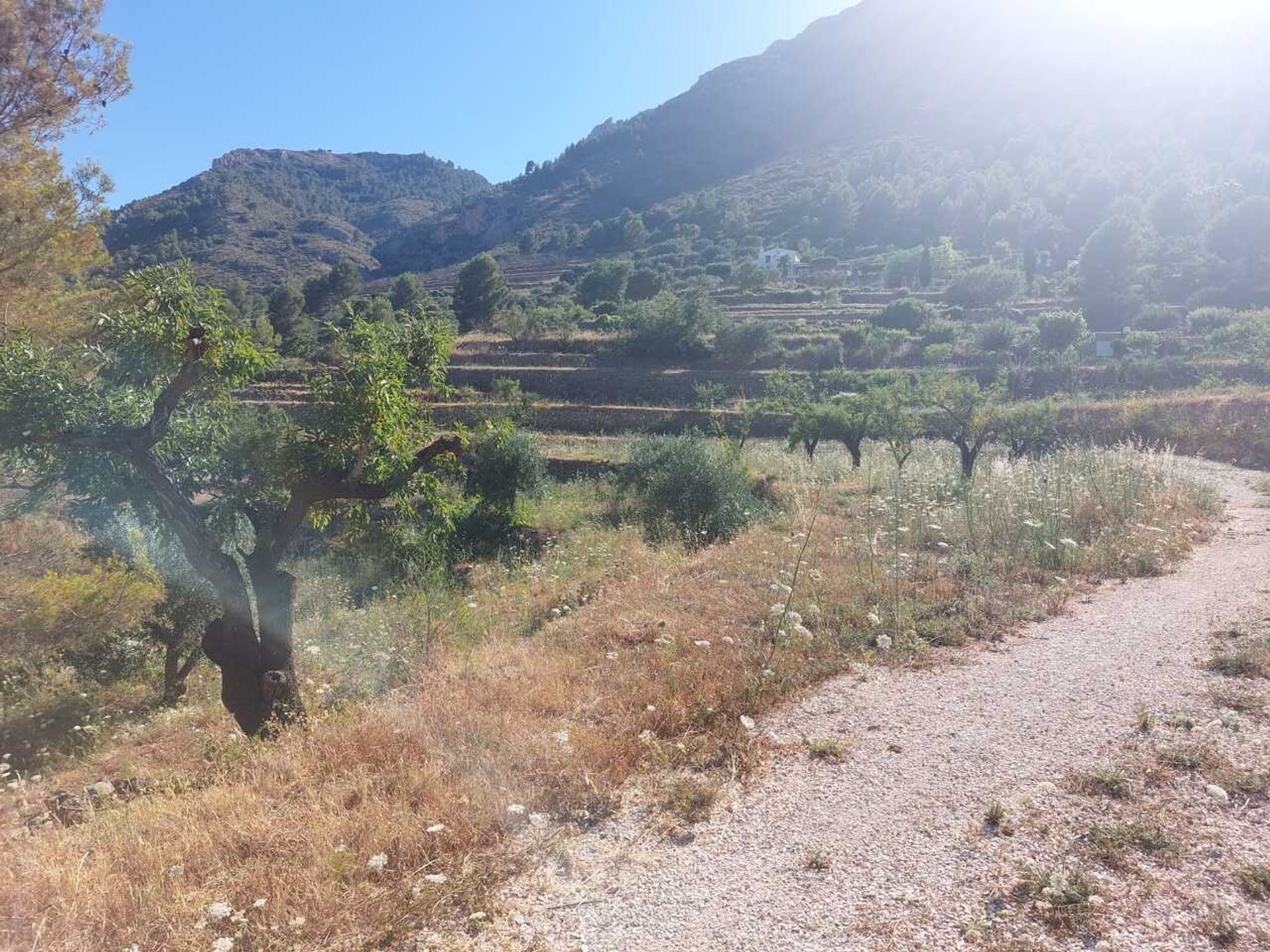 casa en Llíber, Comunidad Valenciana 11508919