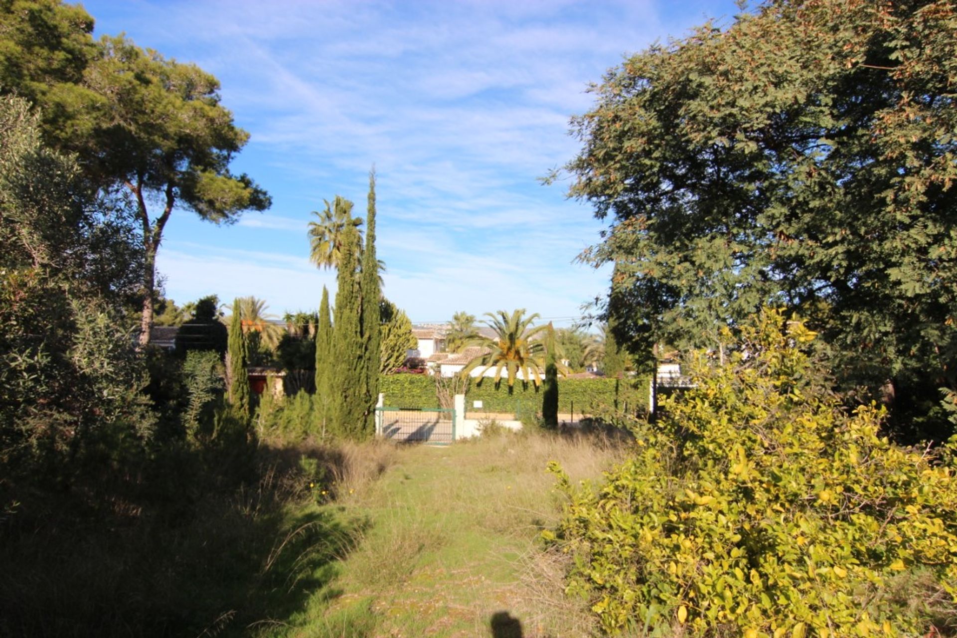 Terra no Xàbia, Comunidad Valenciana 11508983