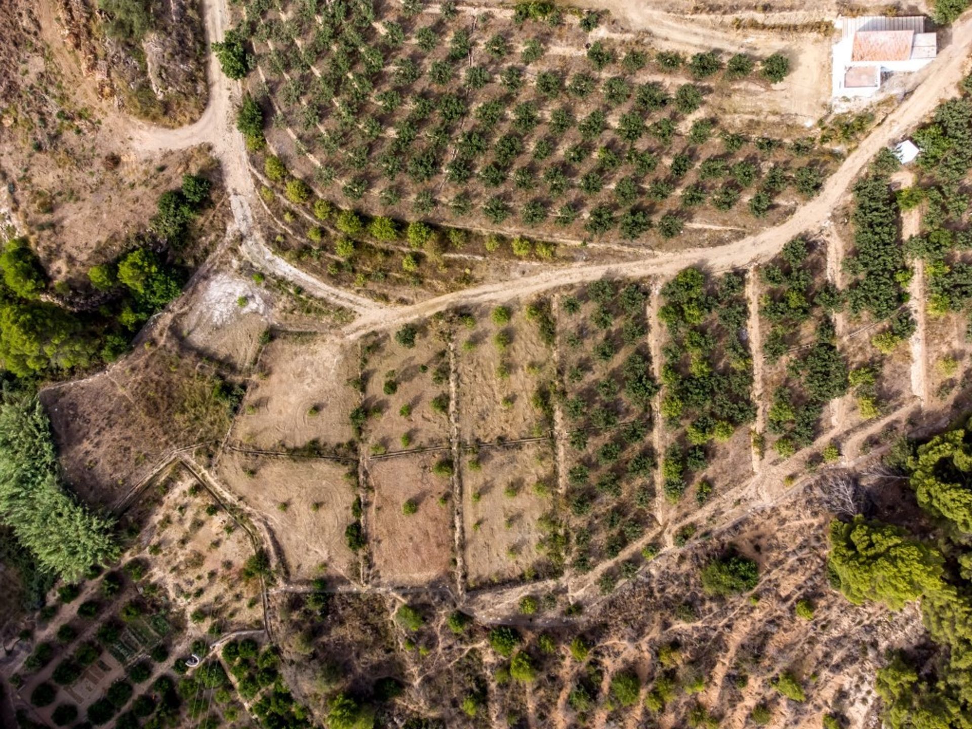 土地 在 Altea, Valencian Community 11509148