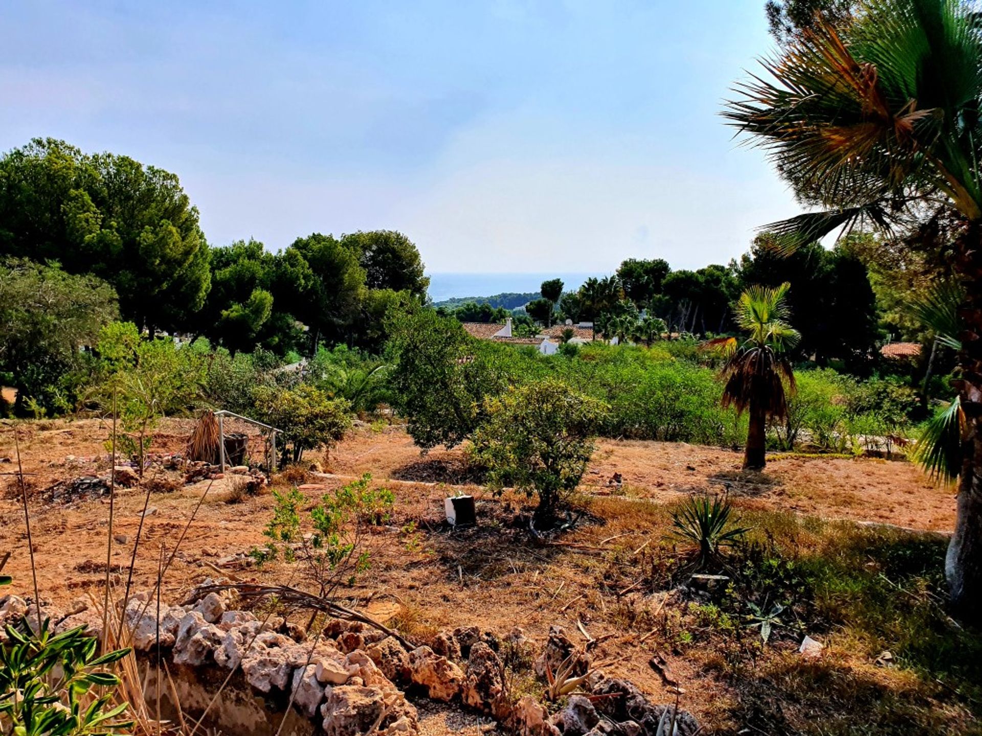 土地 在 Moraira, Comunidad Valenciana 11509164