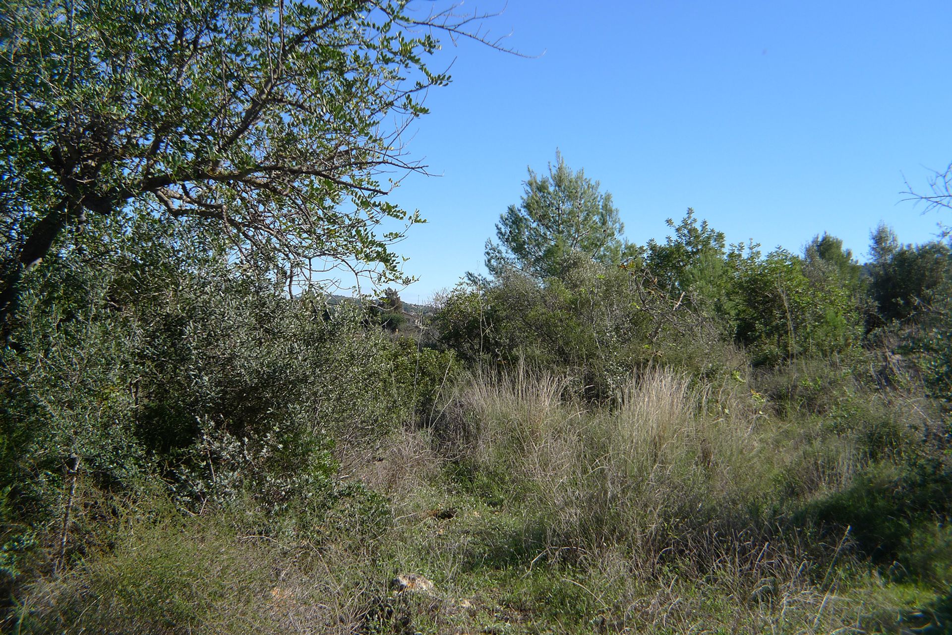 Terra no Alicante, Valência 11509203