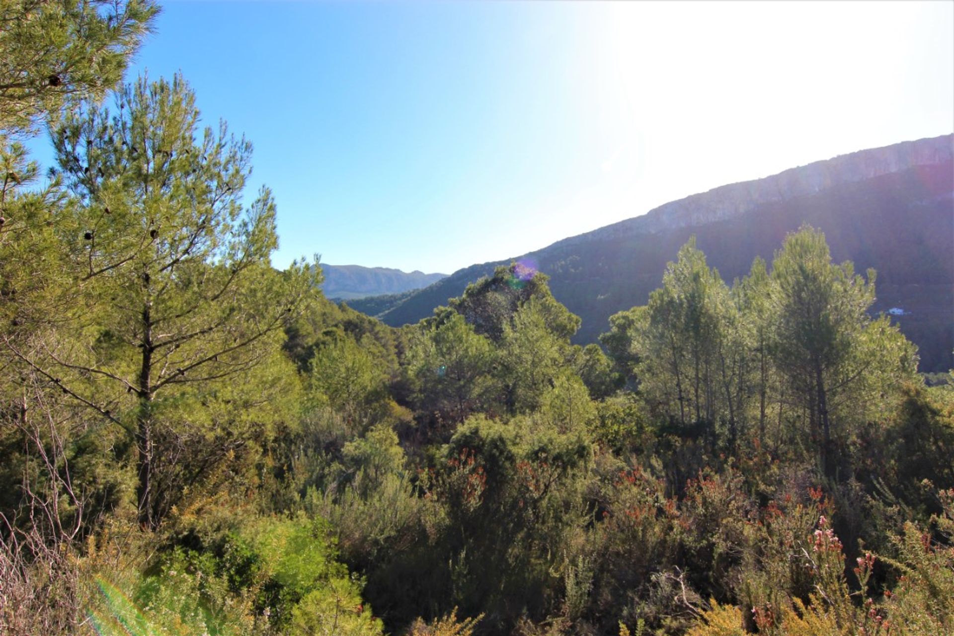 Tierra en Benisa, Valencia 11509240