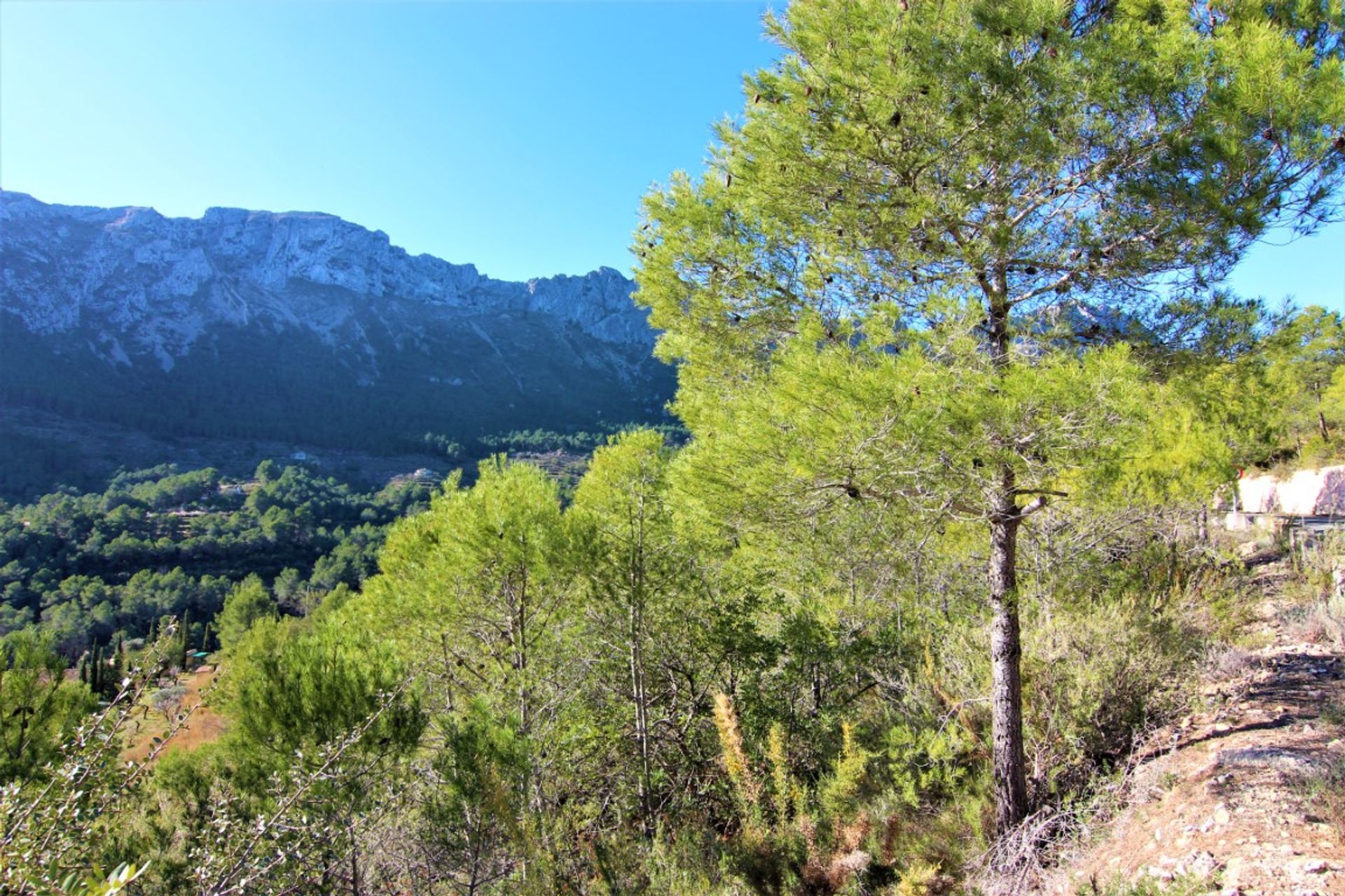 Tierra en Benisa, Valencia 11509240