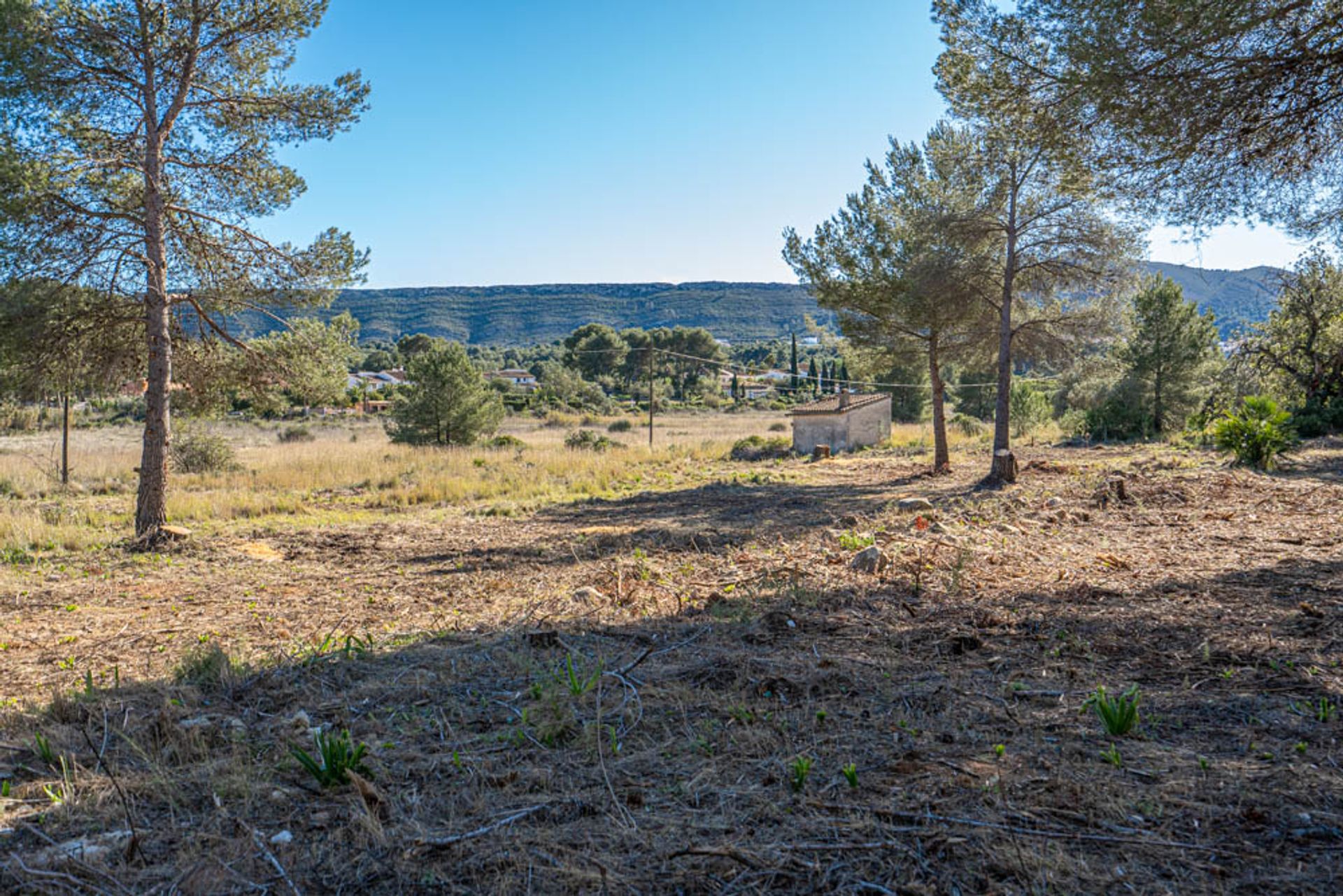 الأرض في Xàbia, Comunidad Valenciana 11509497