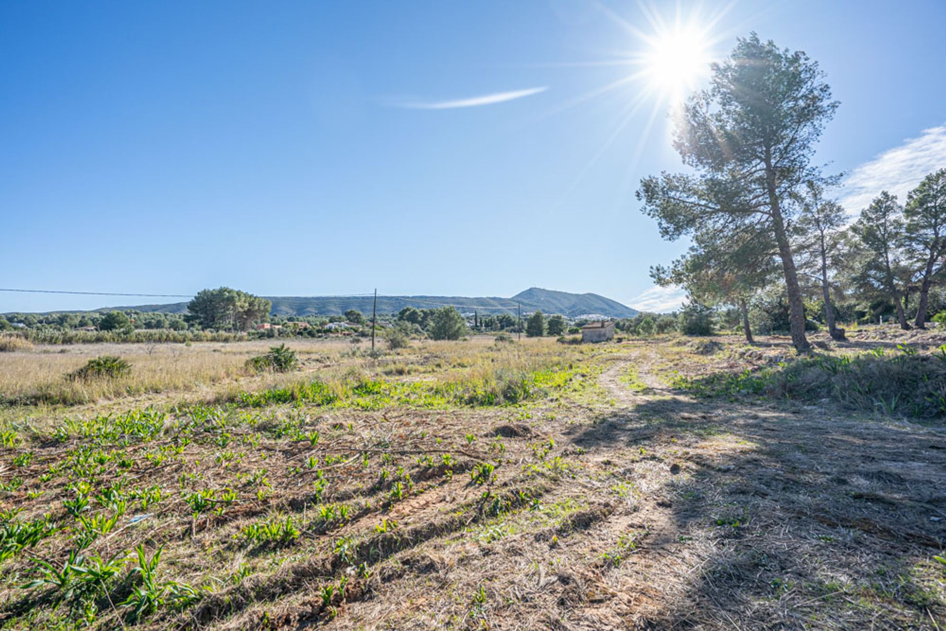 Land in Xàbia, Comunidad Valenciana 11509497