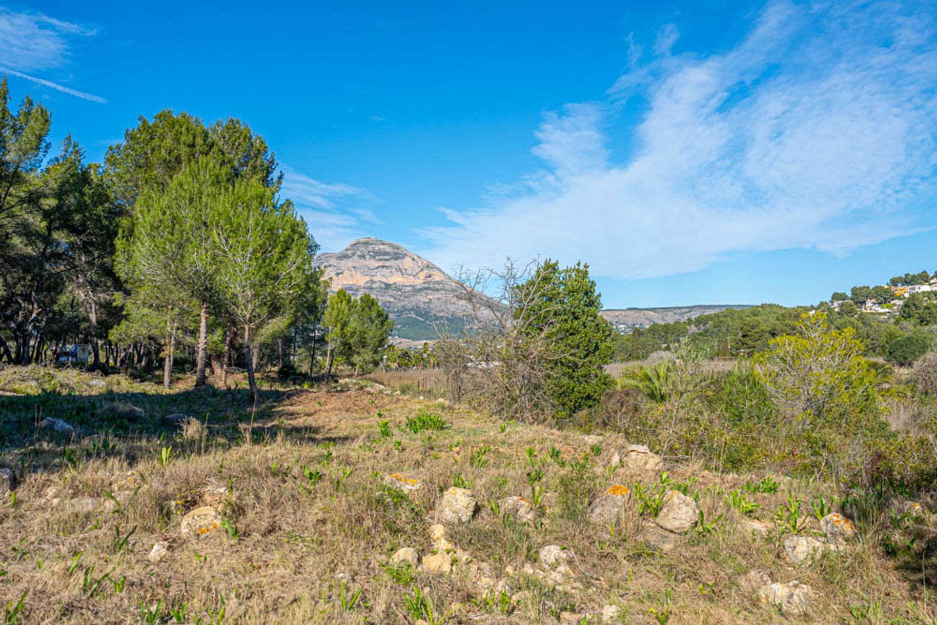 土地 在 Xàbia, Comunidad Valenciana 11509497