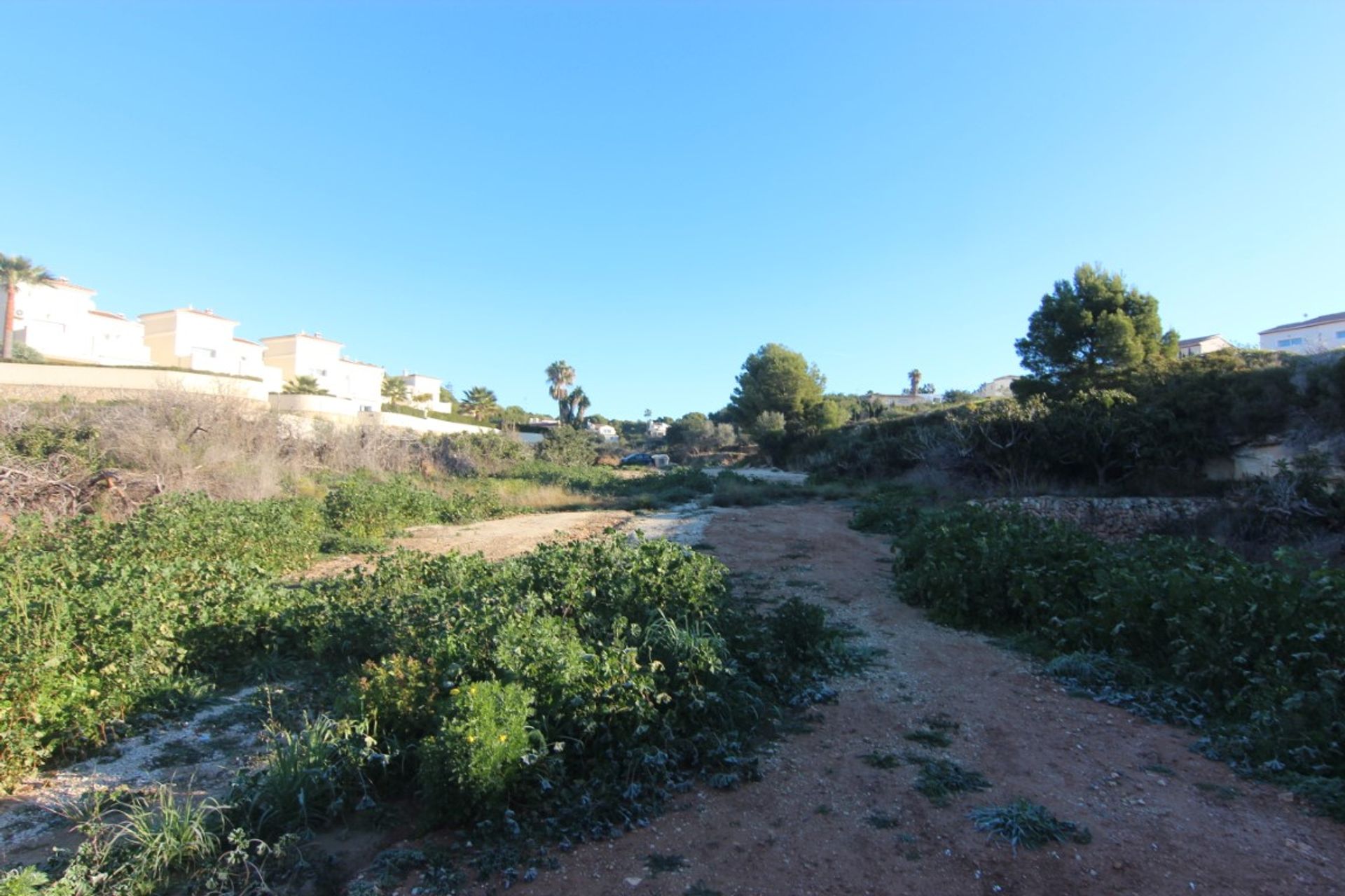 Land i Calp, Comunidad Valenciana 11509509