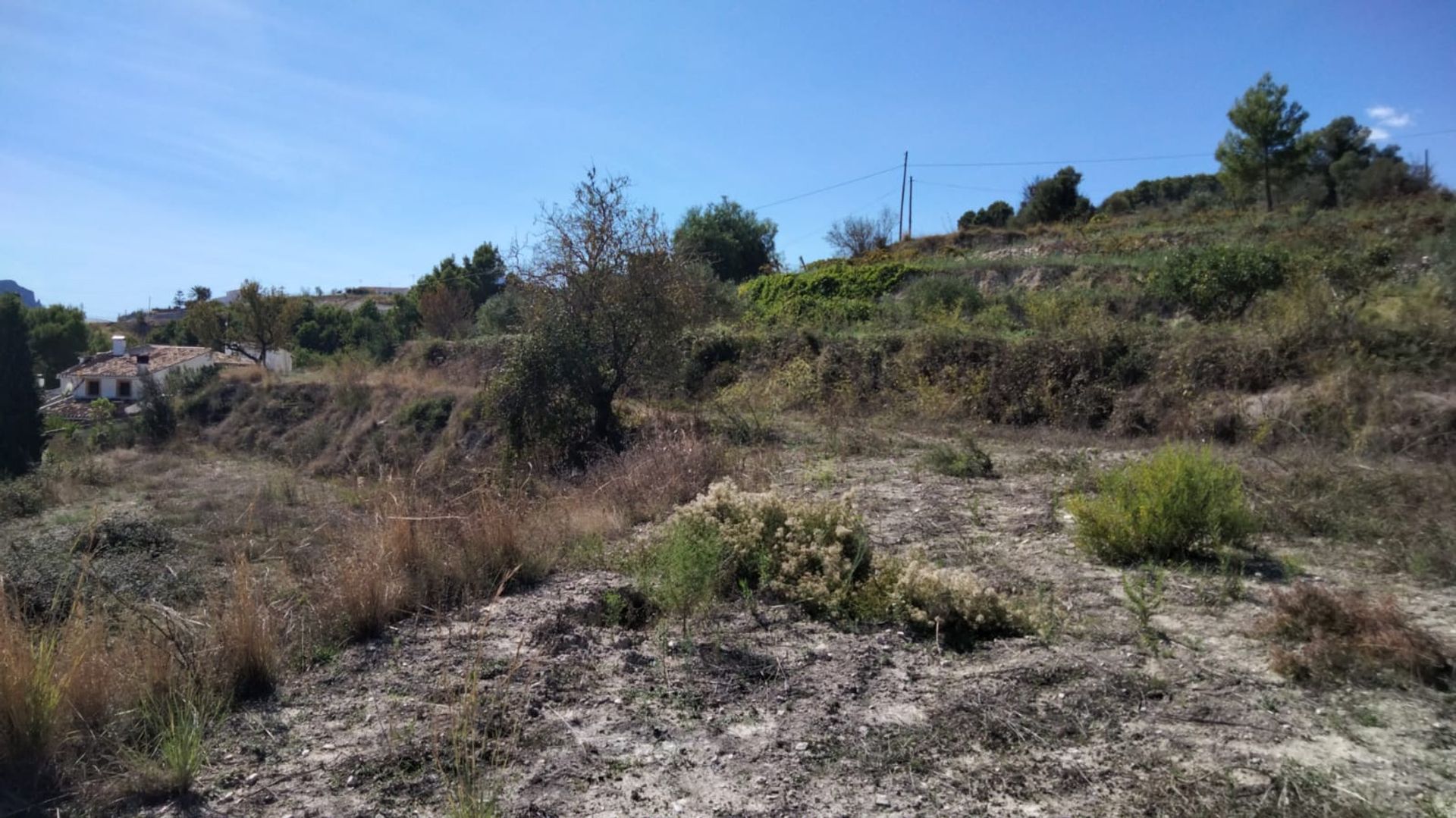 Land i Benisa, Valencia 11509758