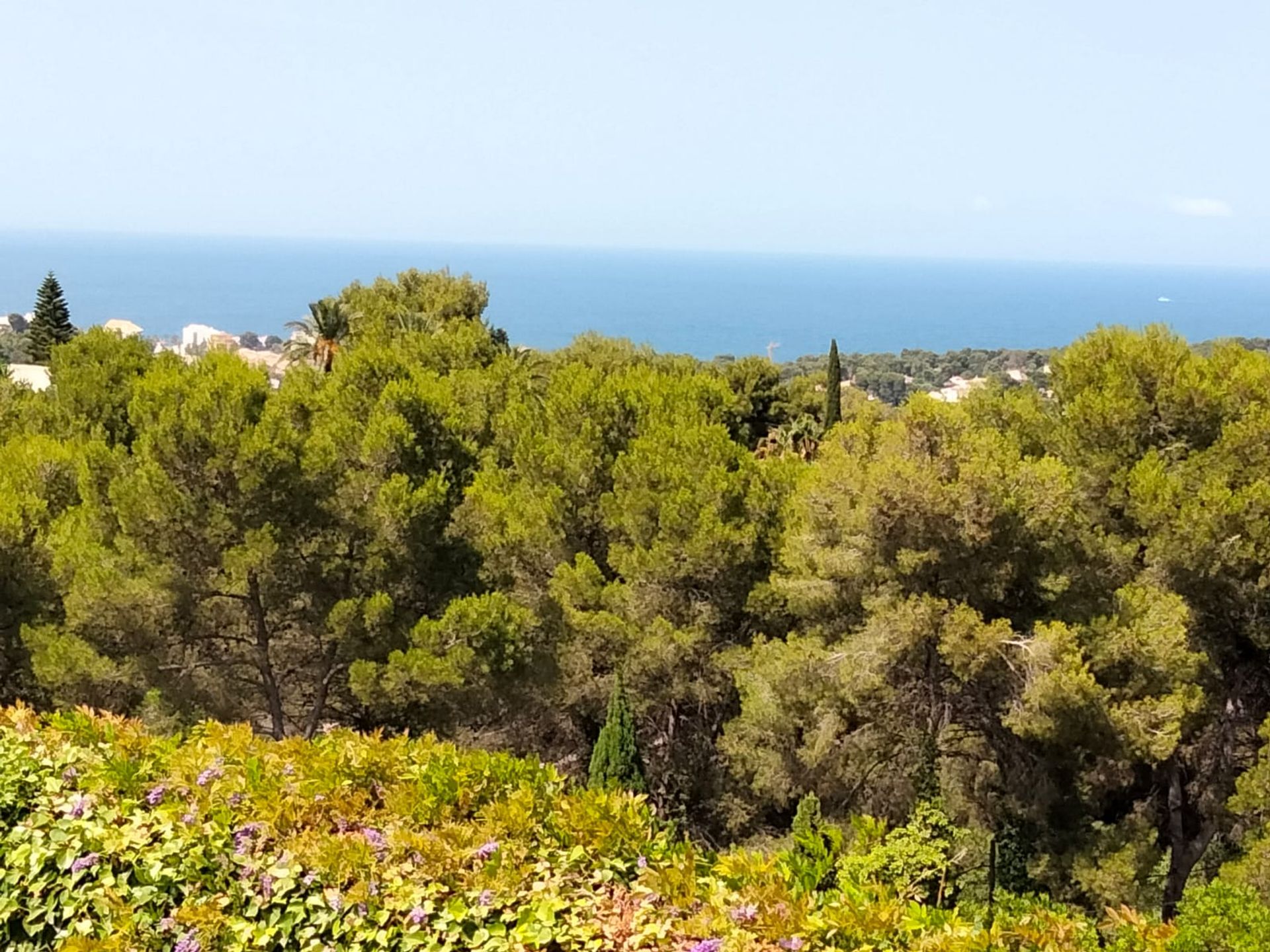 土地 在 Xàbia, Comunidad Valenciana 11509759