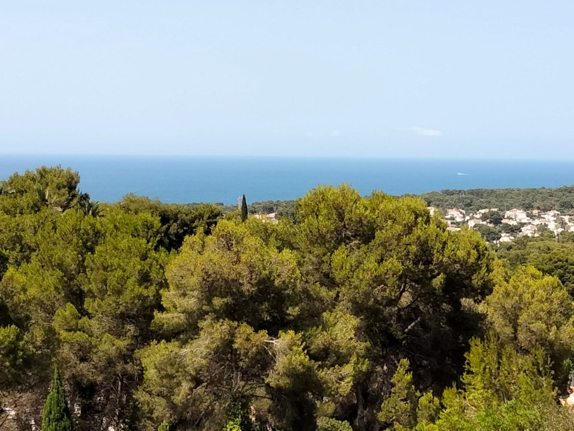 Land im Javea, Valencia 11509759