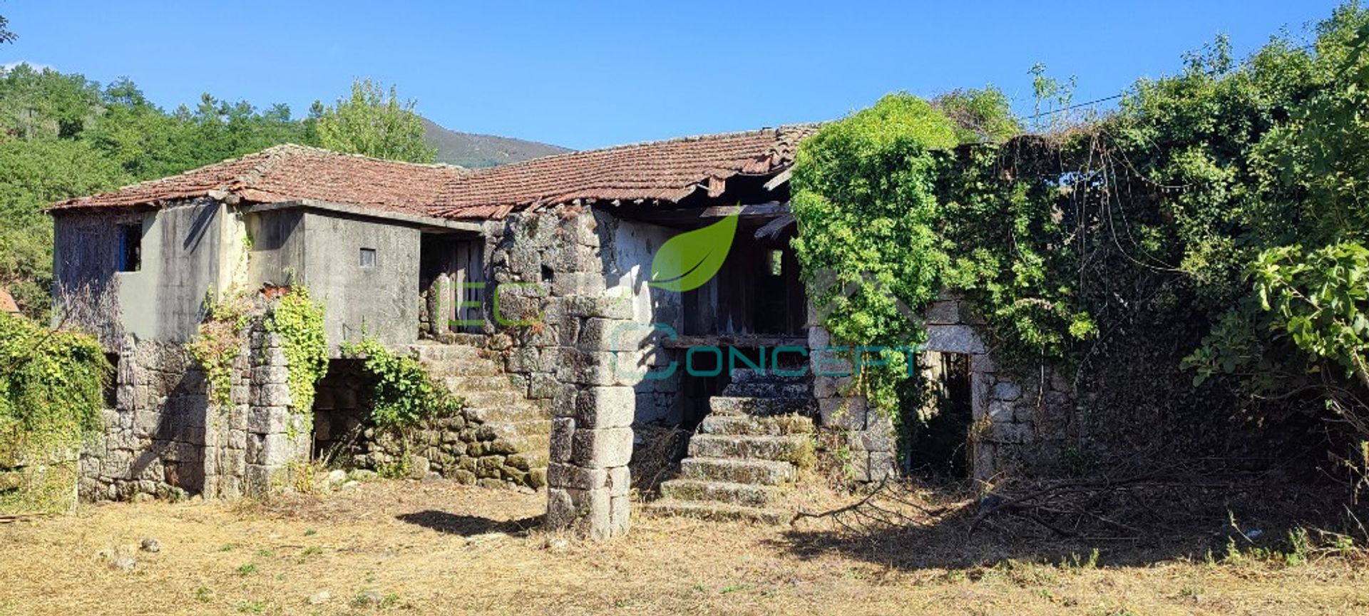 Hus i Sul, Viseu 11509955