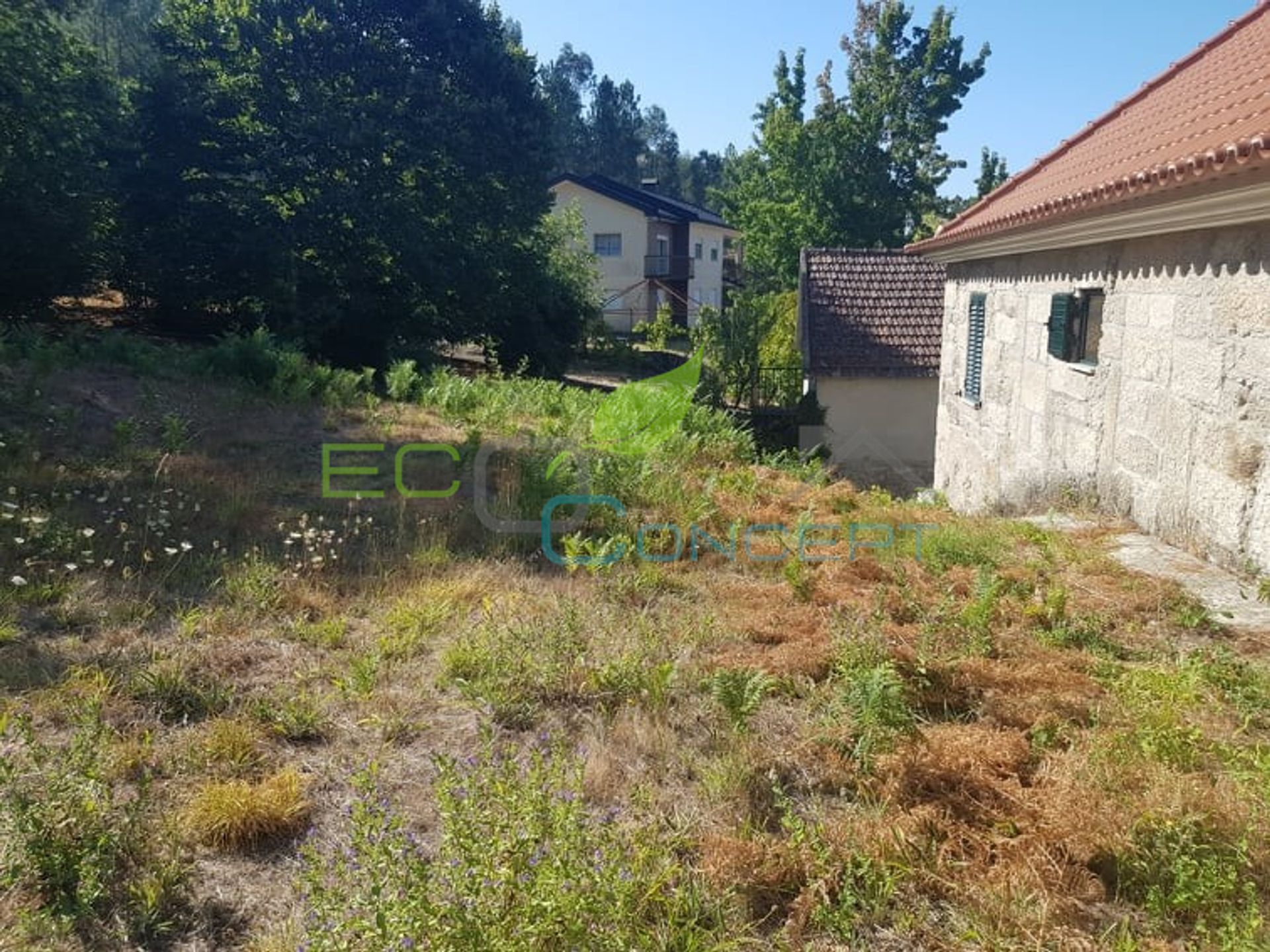 Land in , Viseu District 11509957