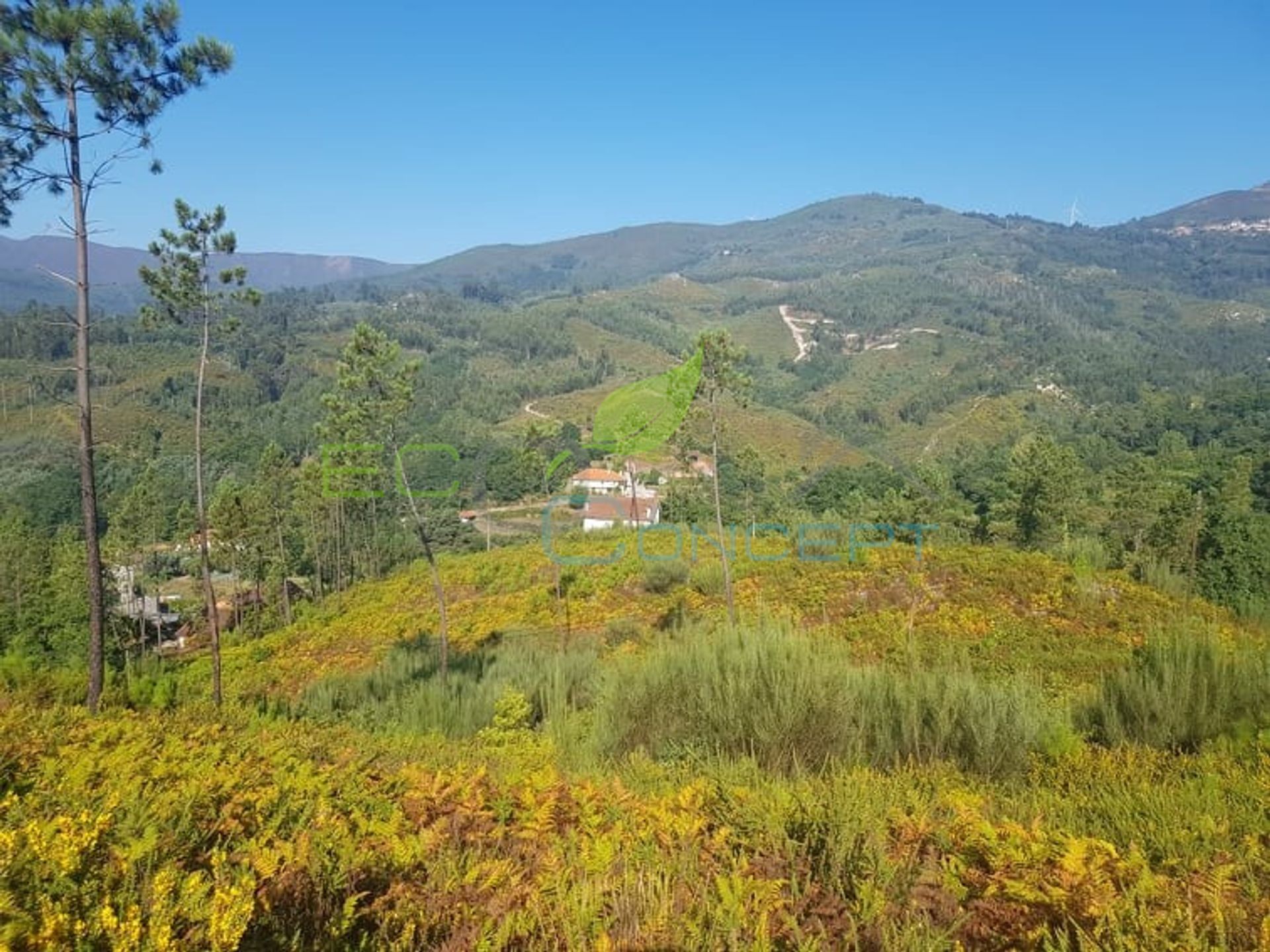 Land in , Viseu District 11509957