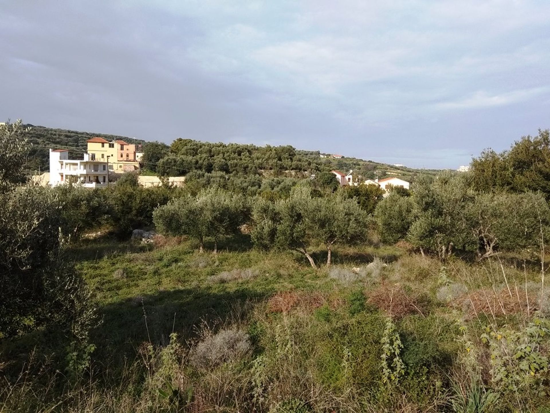 Land in Aspro,  11510525