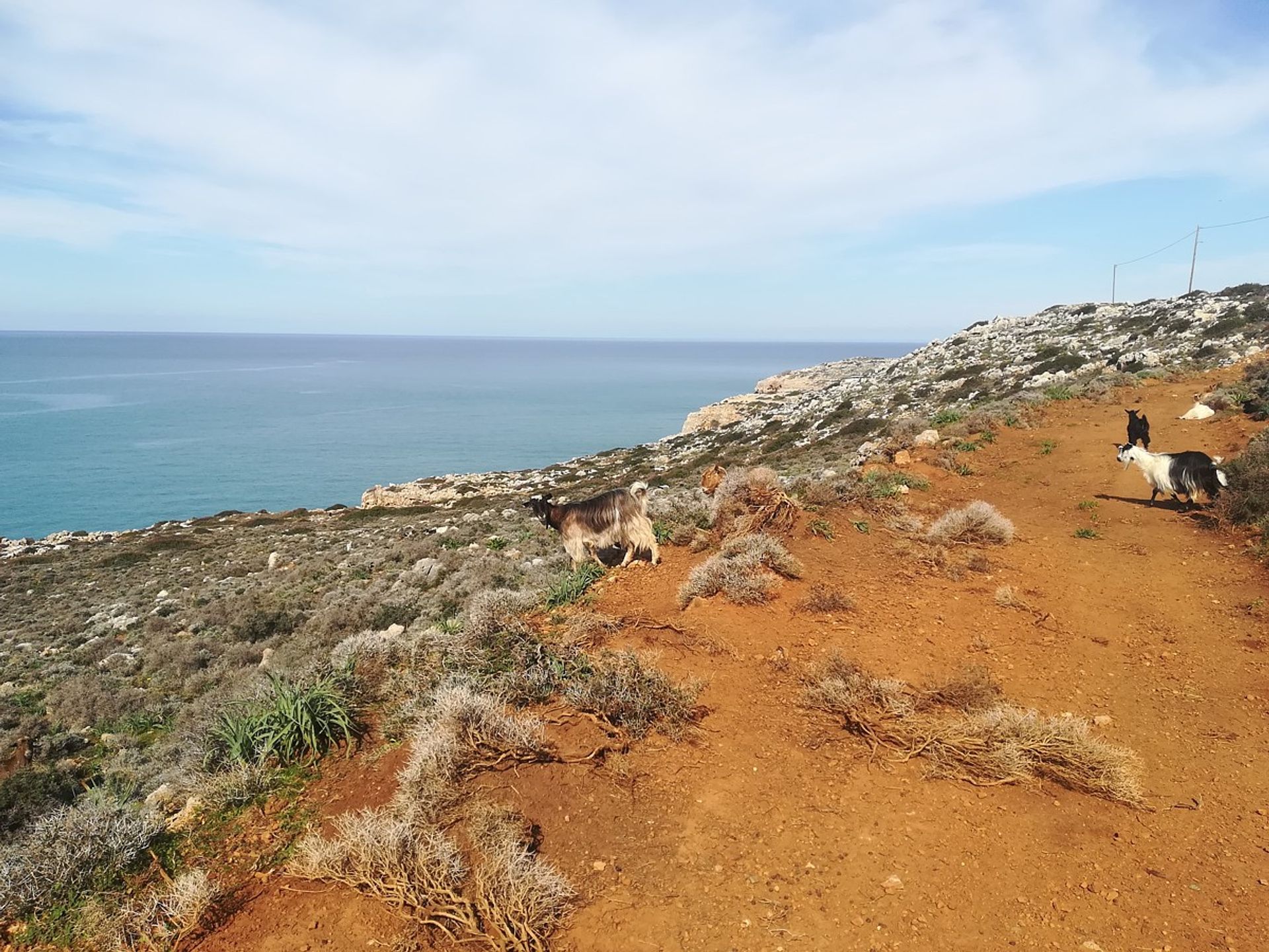 土地 在 Kokkino Chorio,  11510544