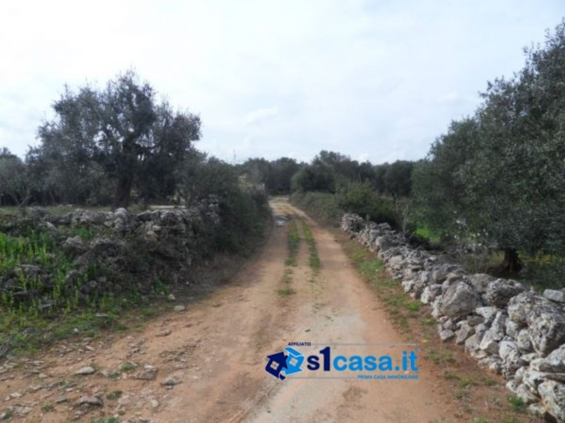 Land im Galatina, Apulien 11510573