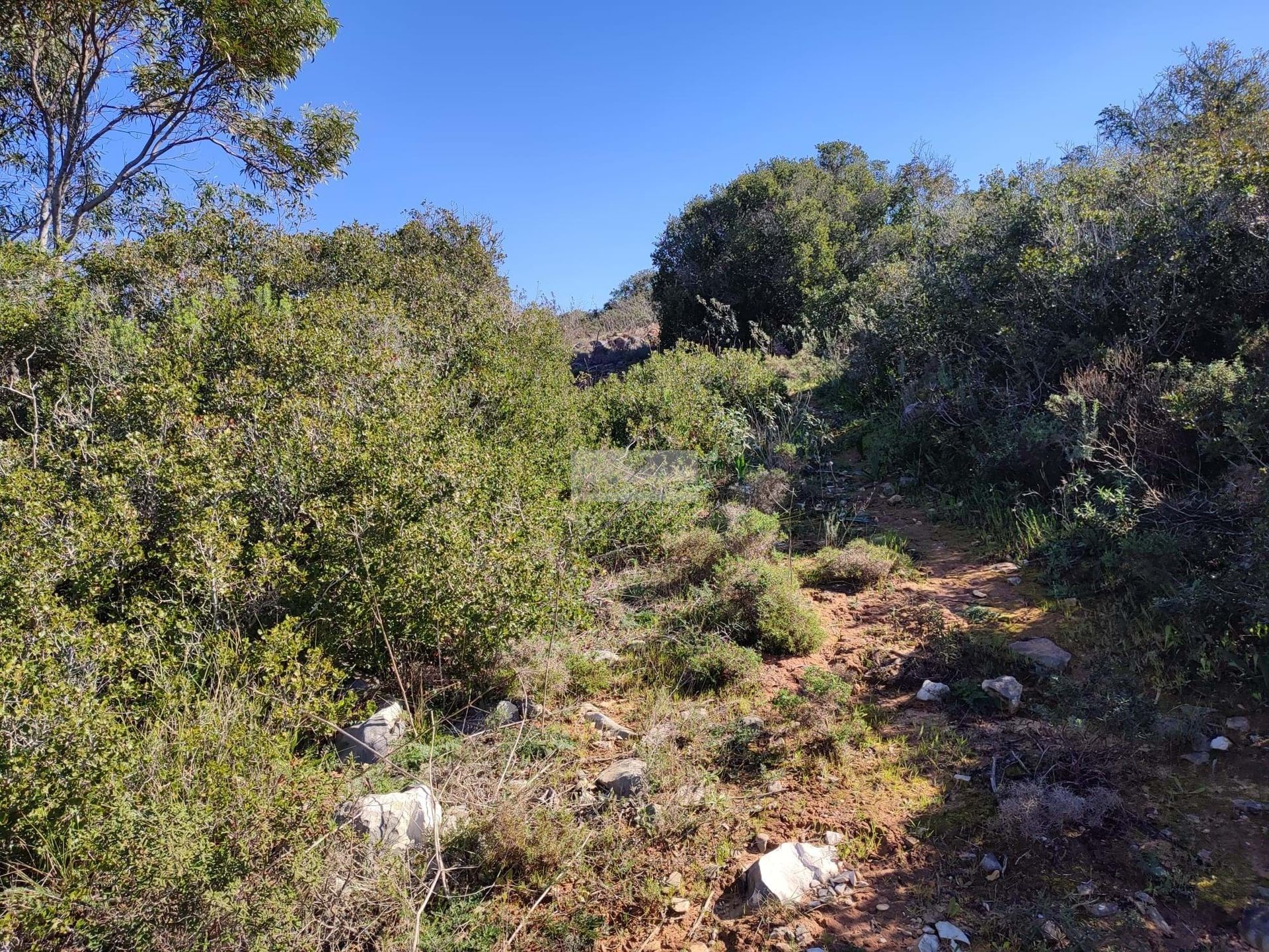 Tierra en Vila do Bispo, Faraón 11510587