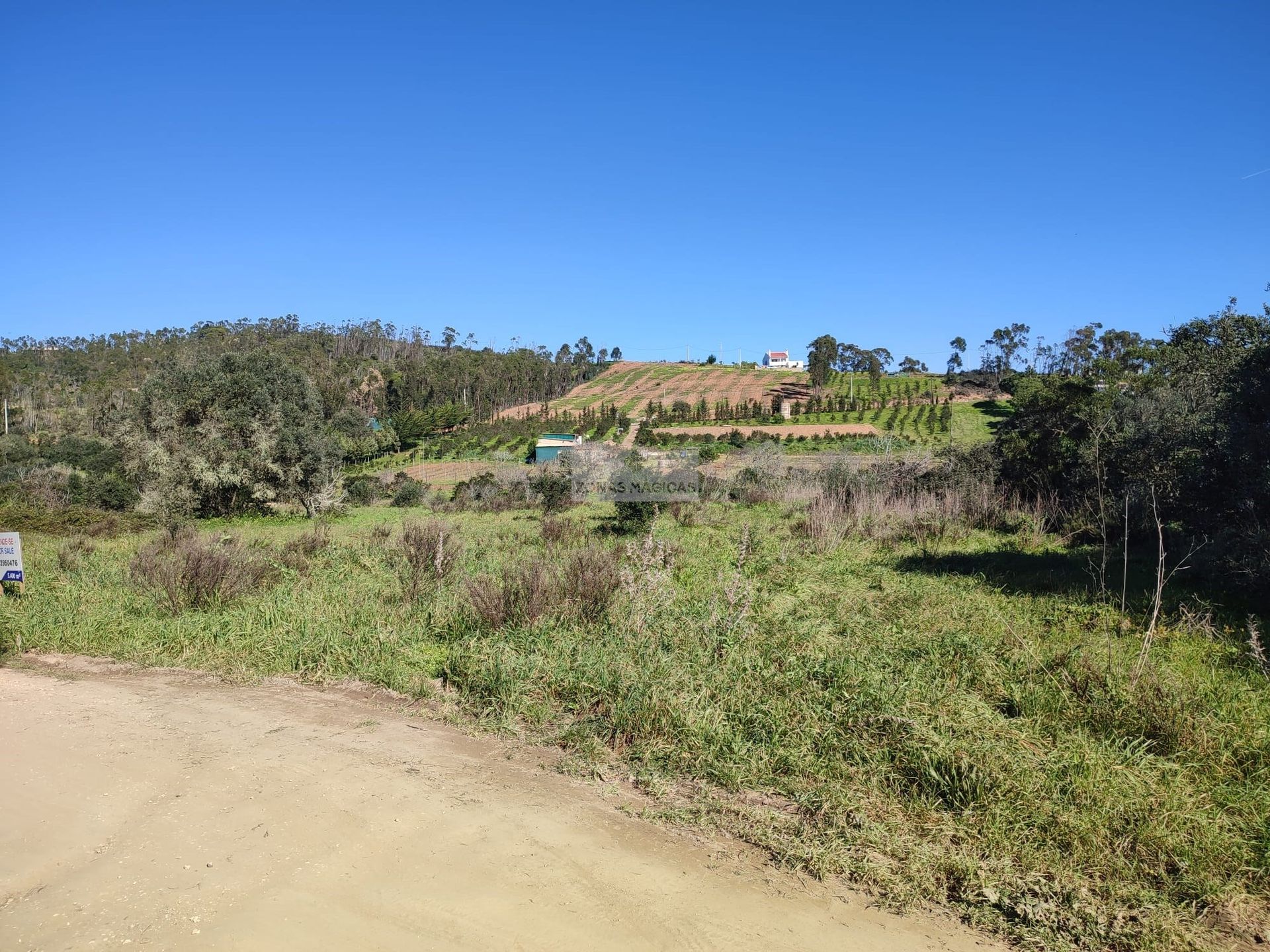 Land in Vila do Bispo, Faro 11510589