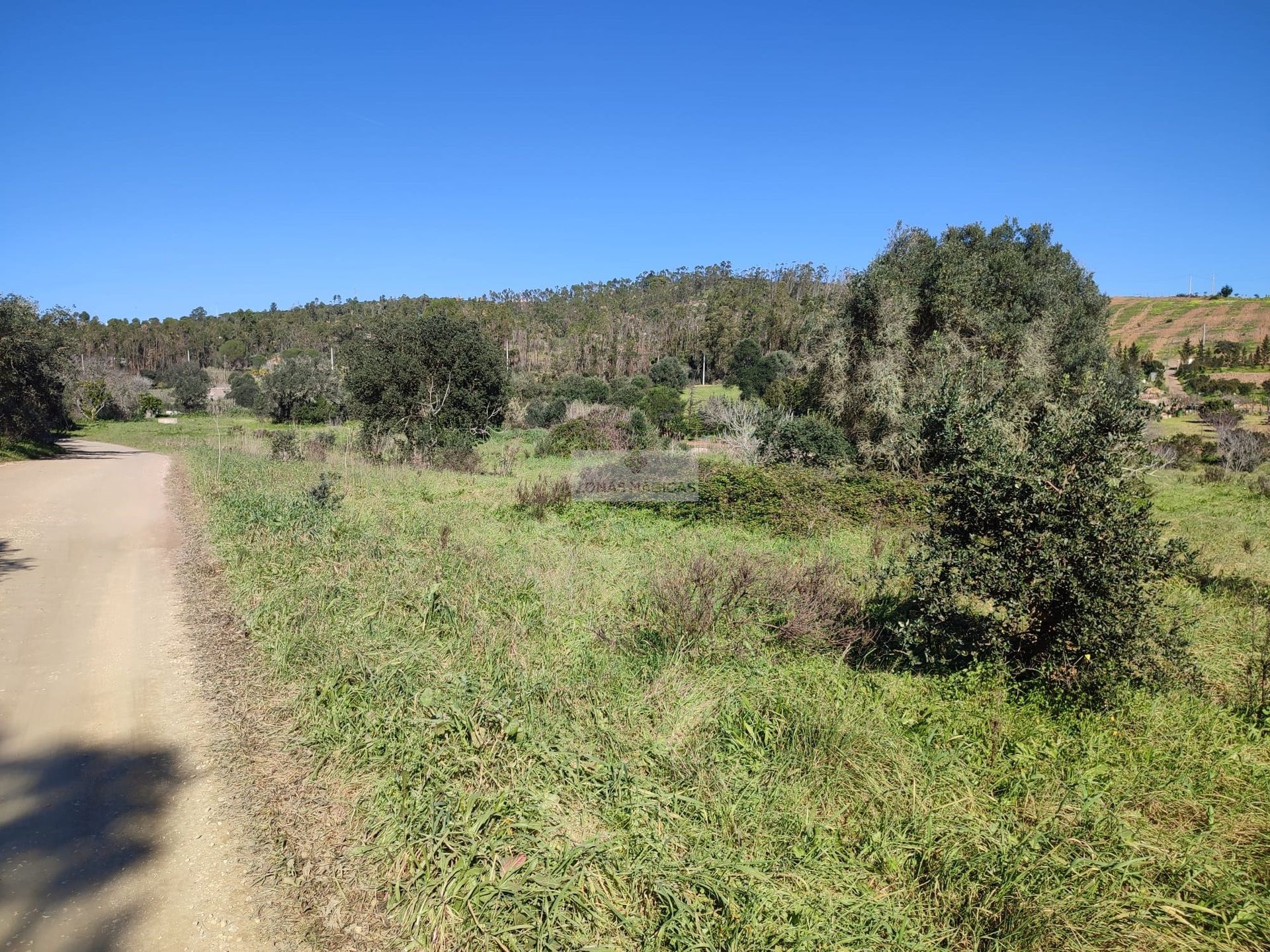 Land i Vila do Bispo, Faro District 11510589