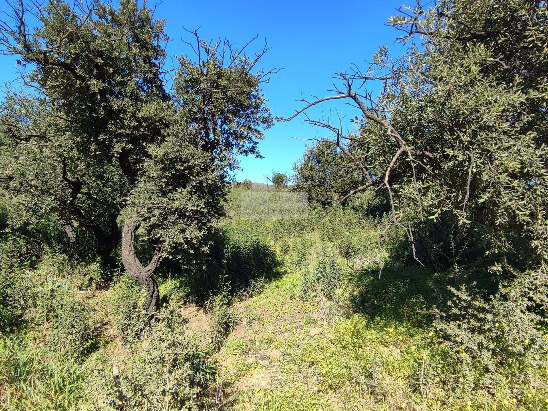 Tierra en Lagos, Faro 11510590