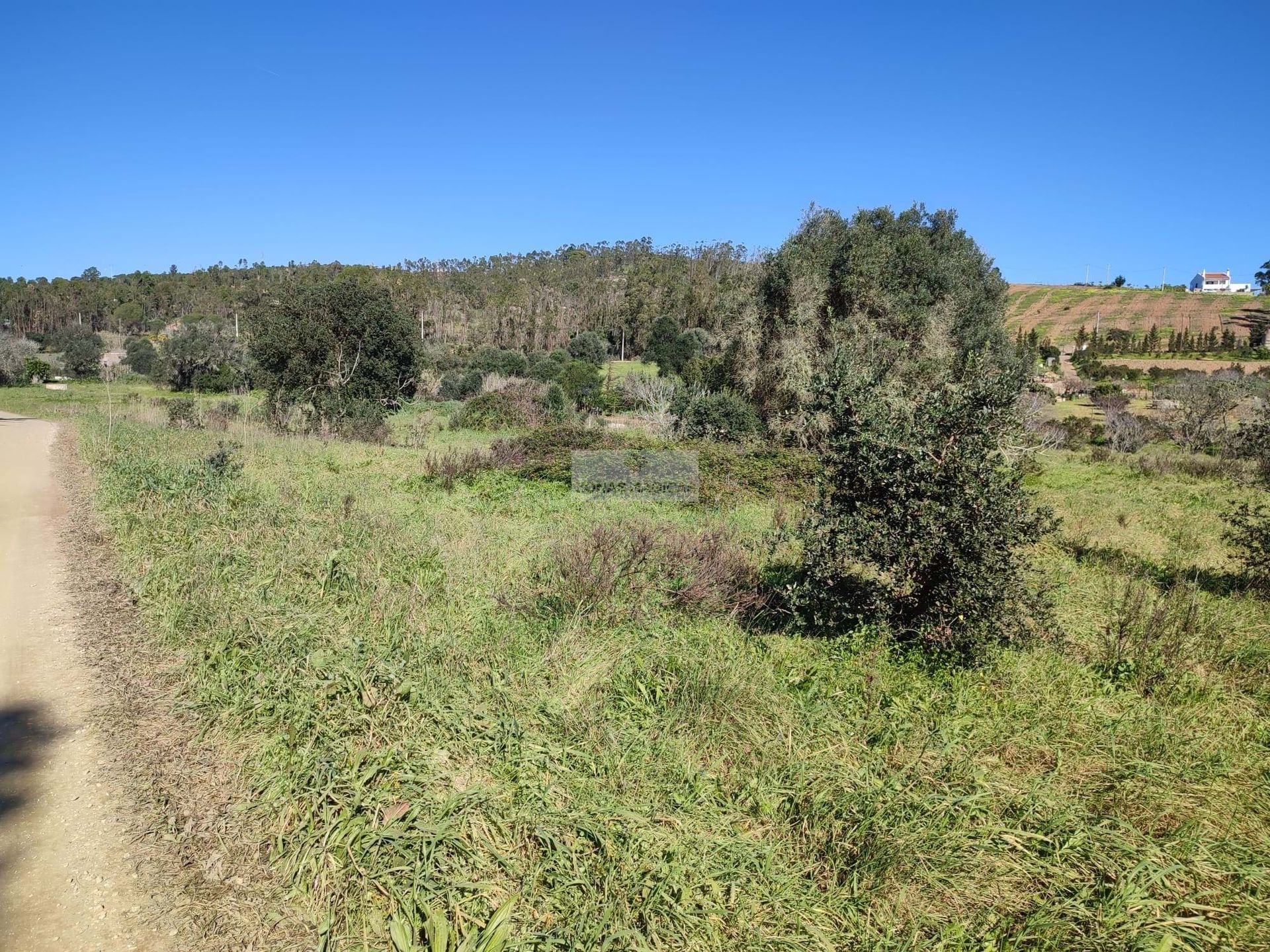 Tierra en Lagos, Faro 11510590