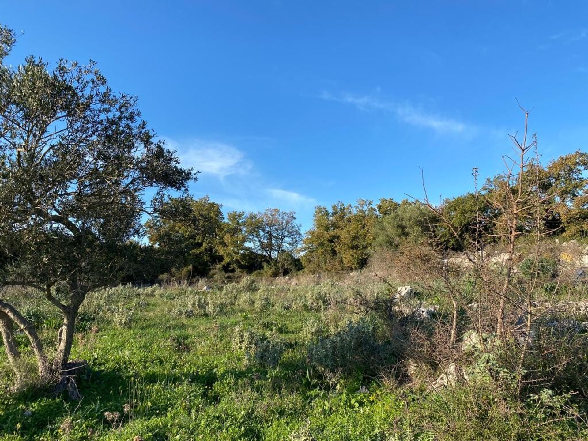 Land in Vryses, Kriti 11510909