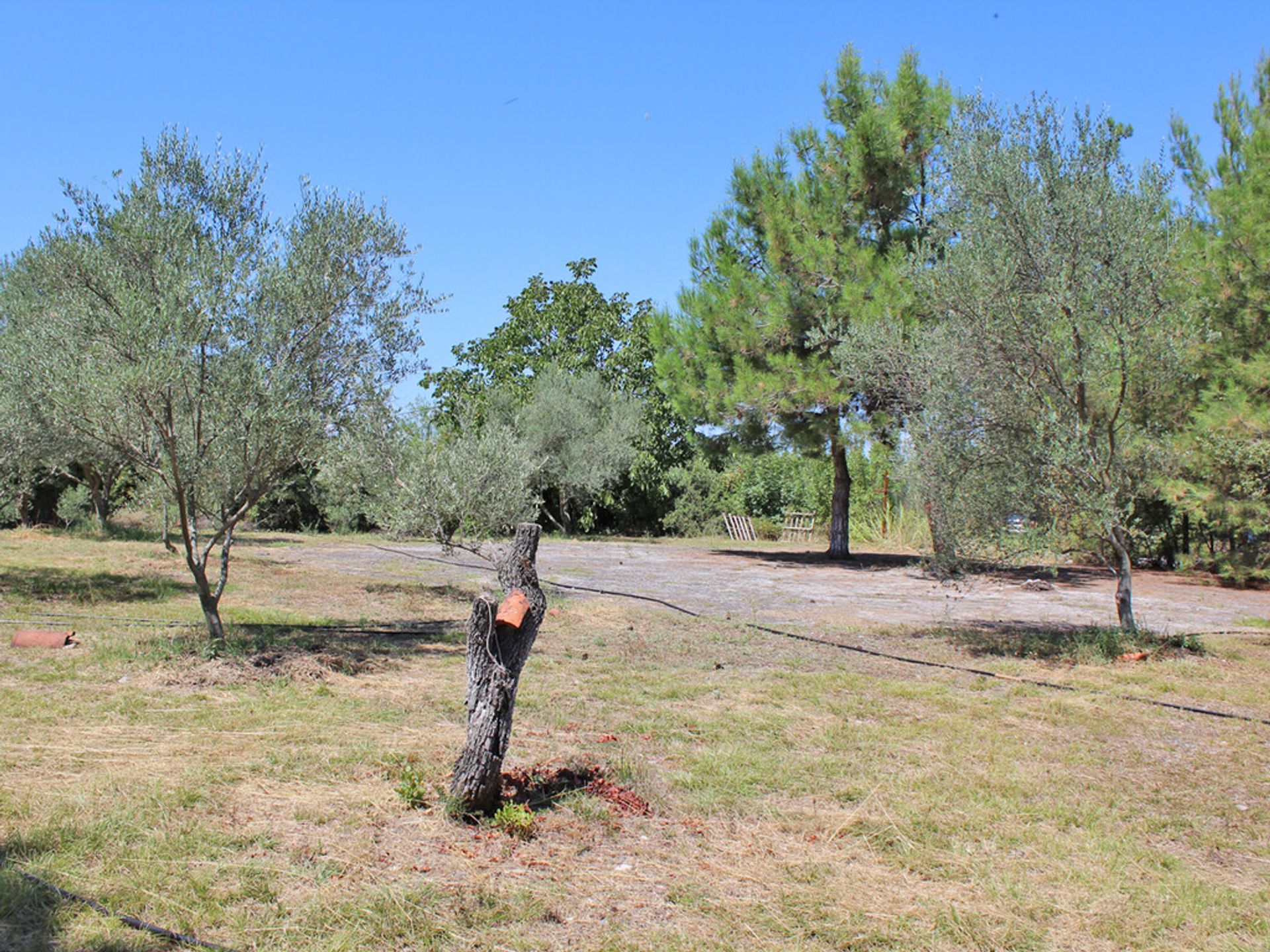 Terre dans Dion, Kentriki Macédoine 11510976