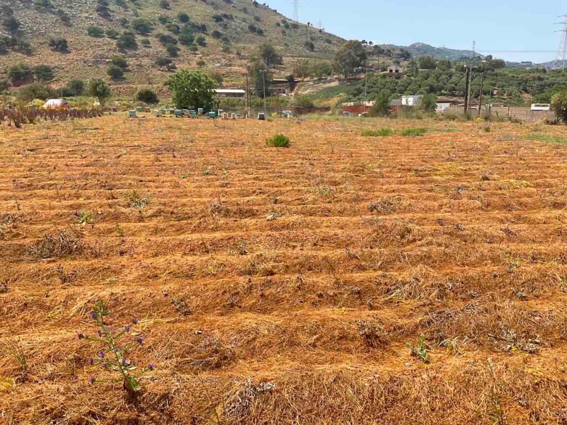 Tierra en Kavrochóri, criti 11510981