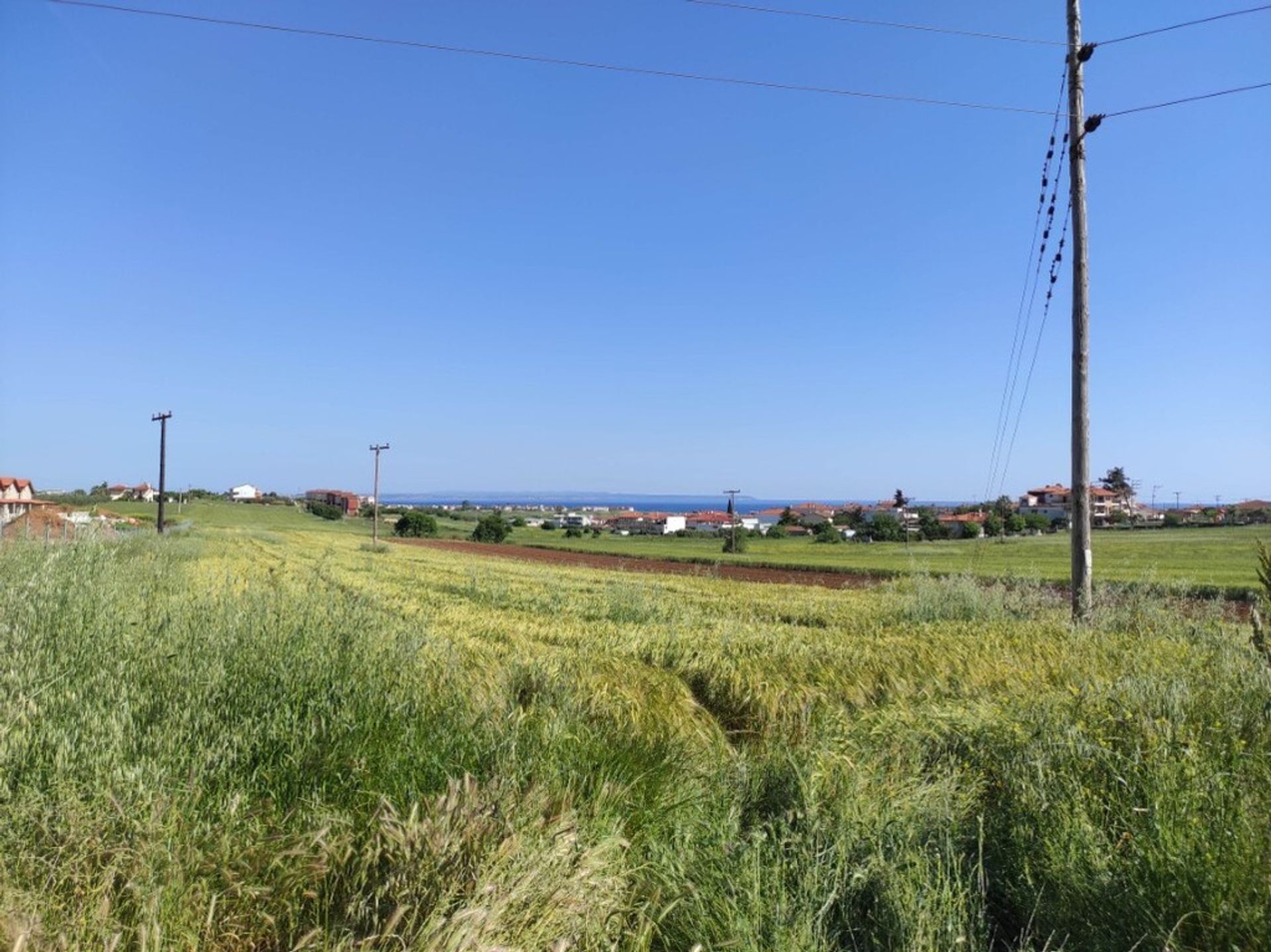 ארץ ב Nea Flogita, קנטריקי מקדוניה 11511021