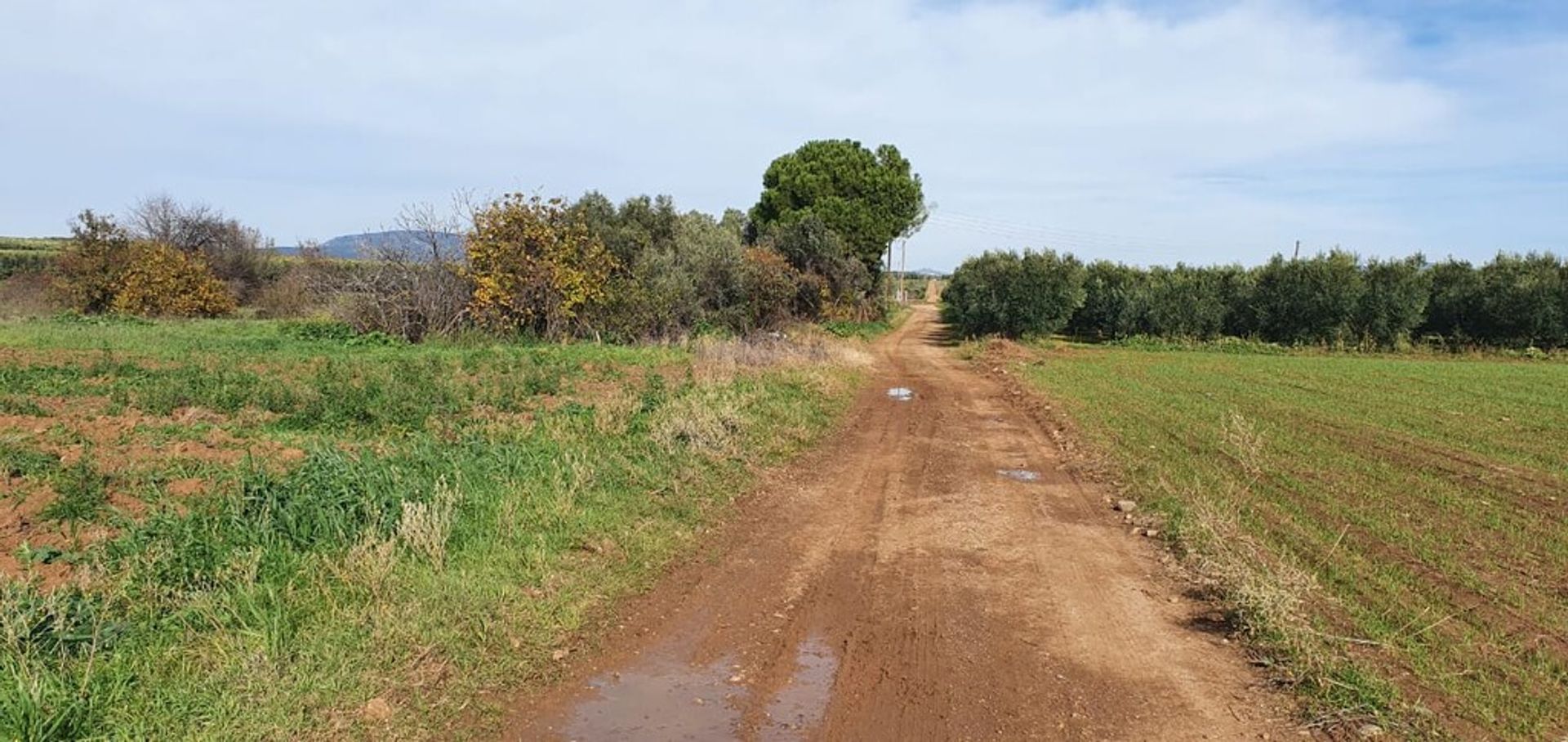 Land in Nea Flogita, Kentriki Makedonia 11511073